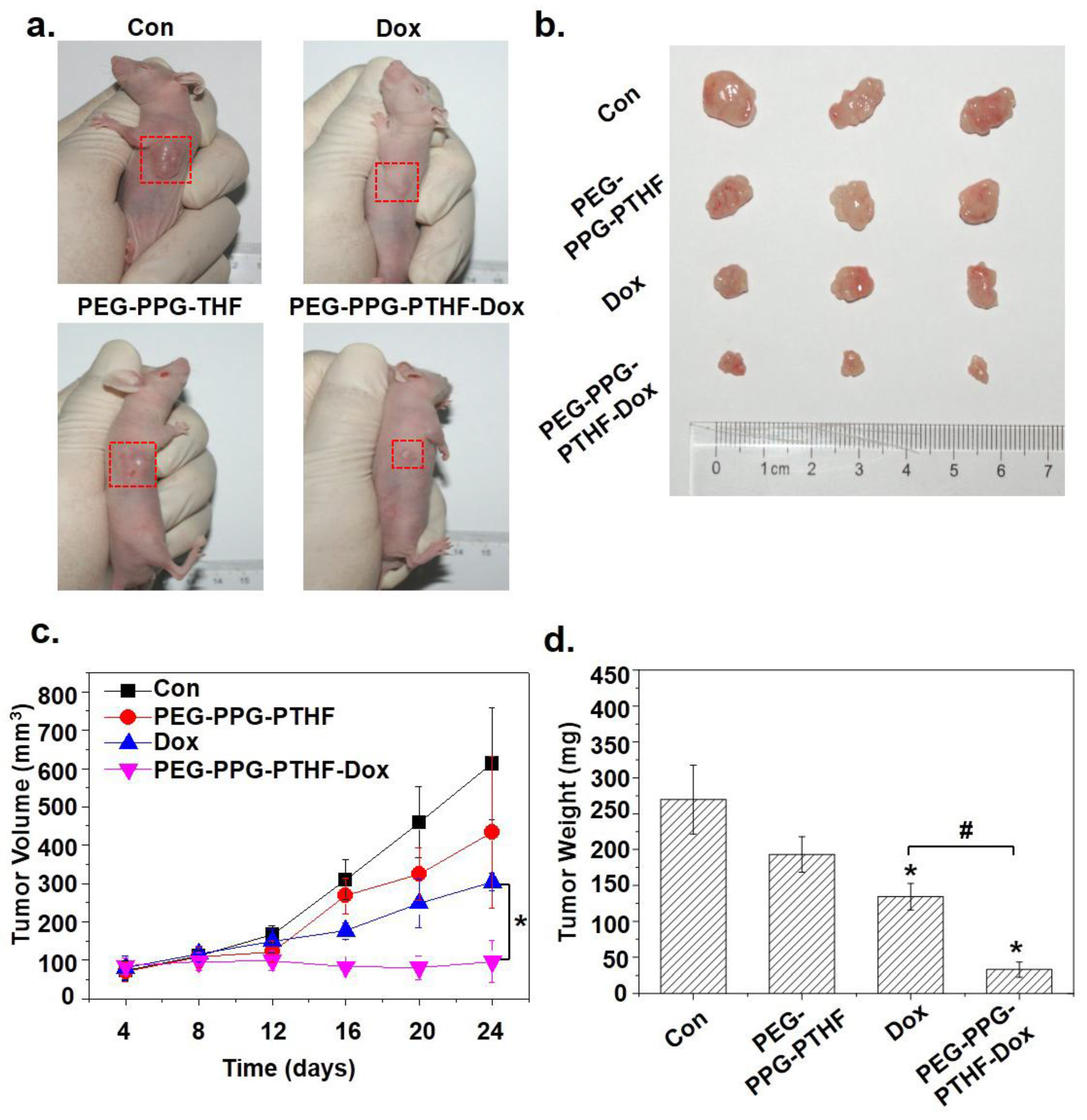 Polymers 10 00089 g010 Polymers 10 00089 g010