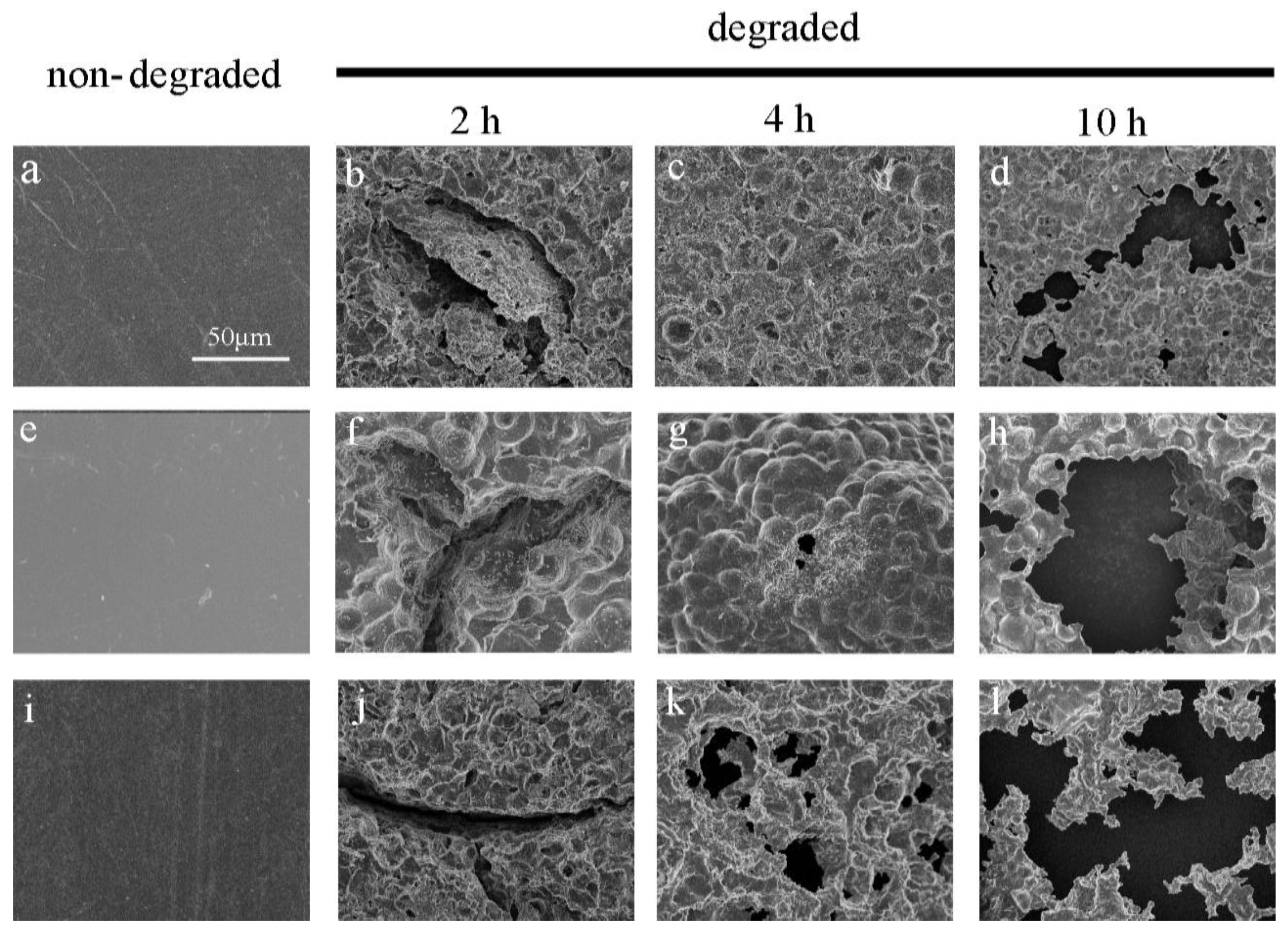 Polymers 10 00090 g002