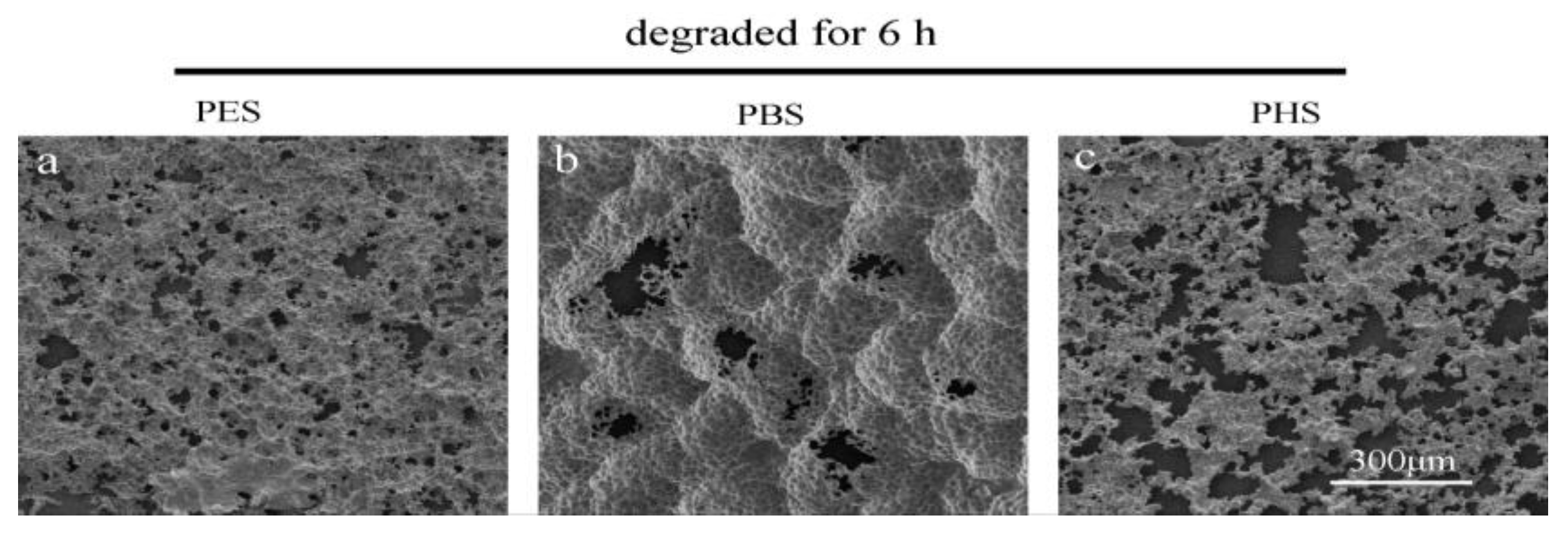 Polymers 10 00090 g003