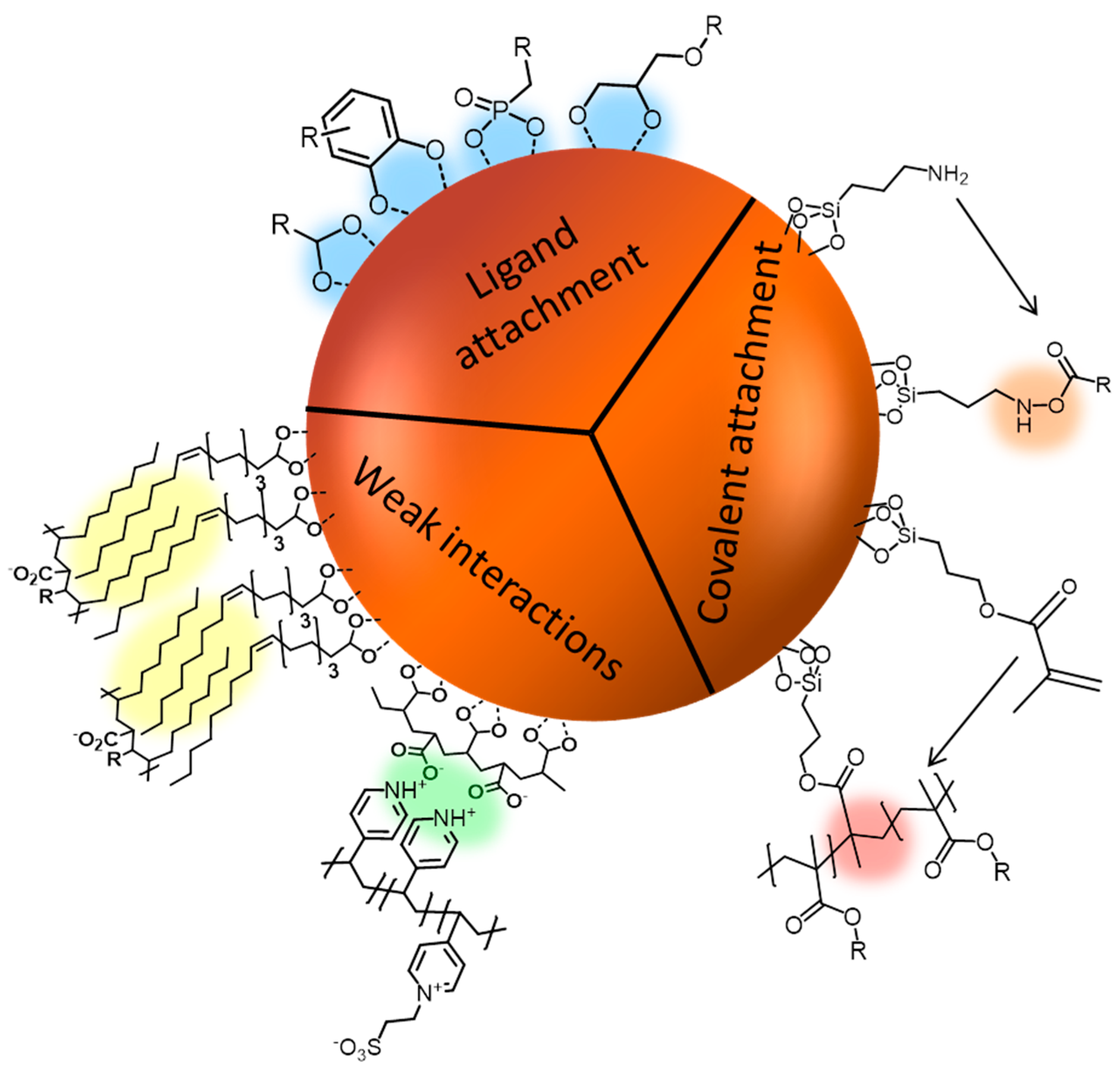 Polymers 10 00091 g004