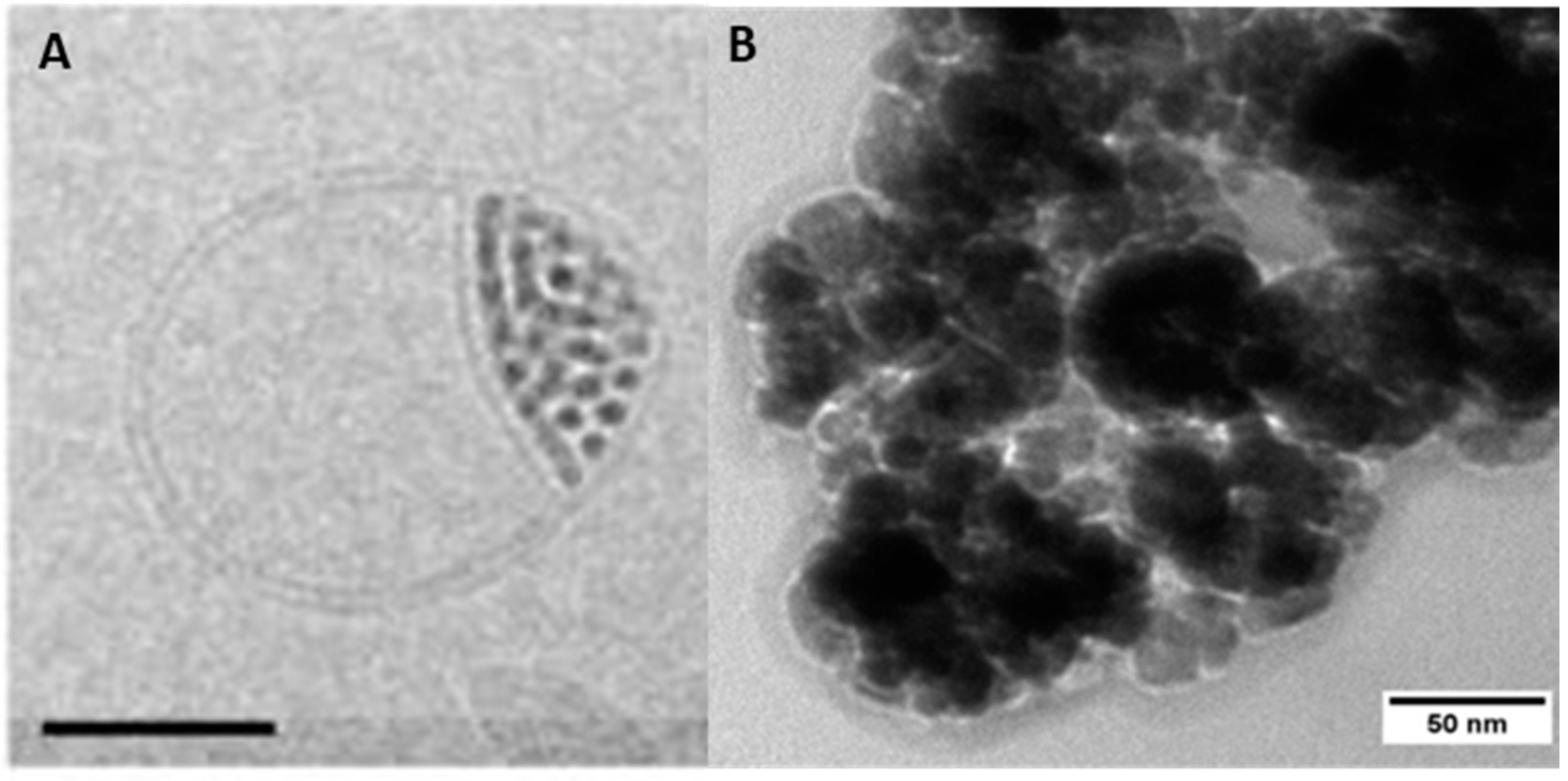 Polymers 10 00091 g007