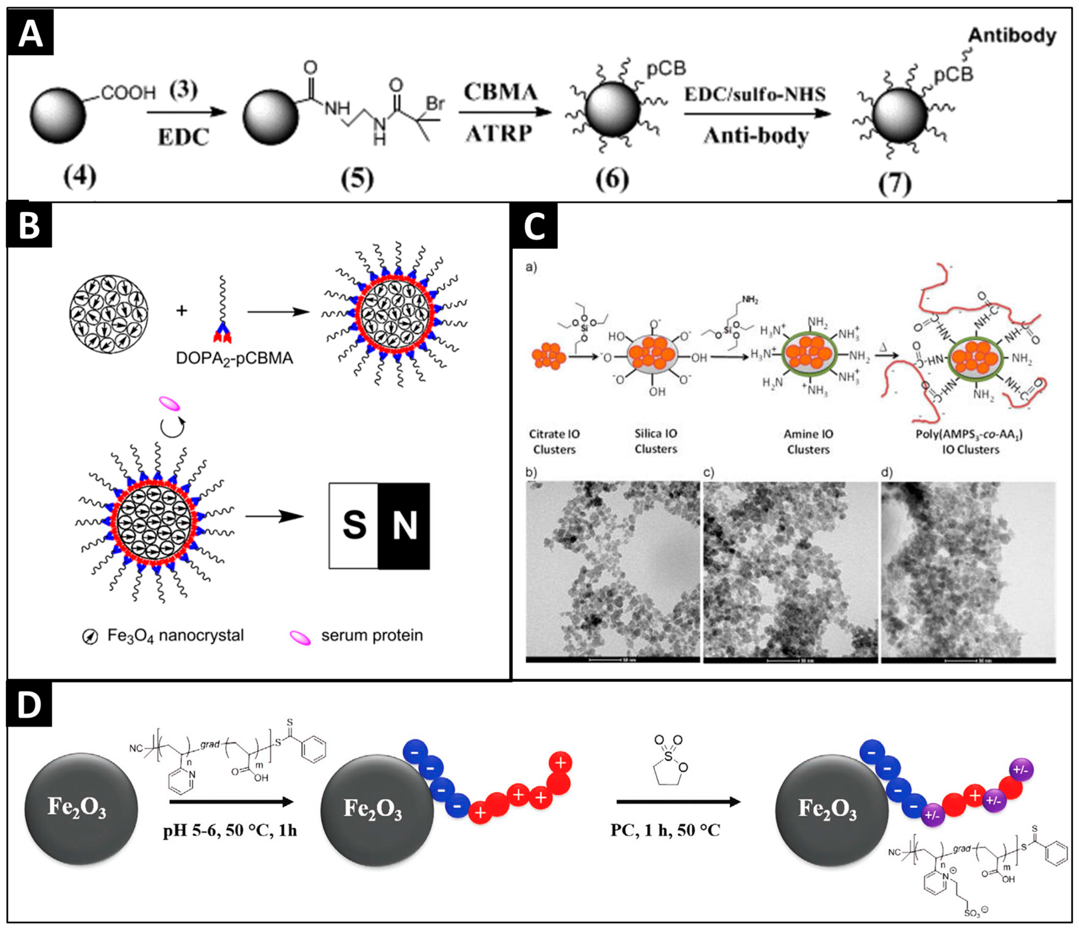 Polymers 10 00091 g009