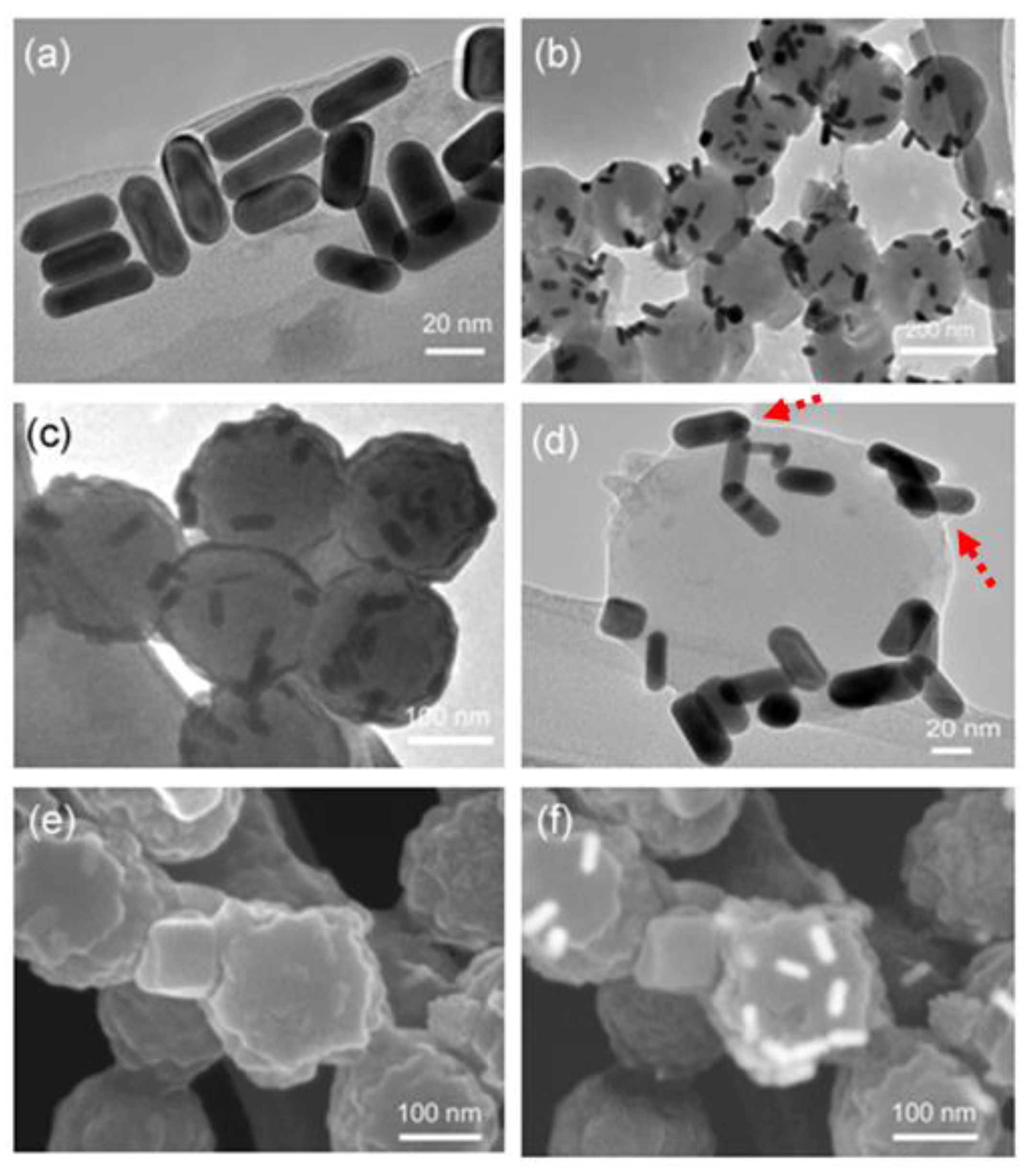 Polymers 10 00099 g003