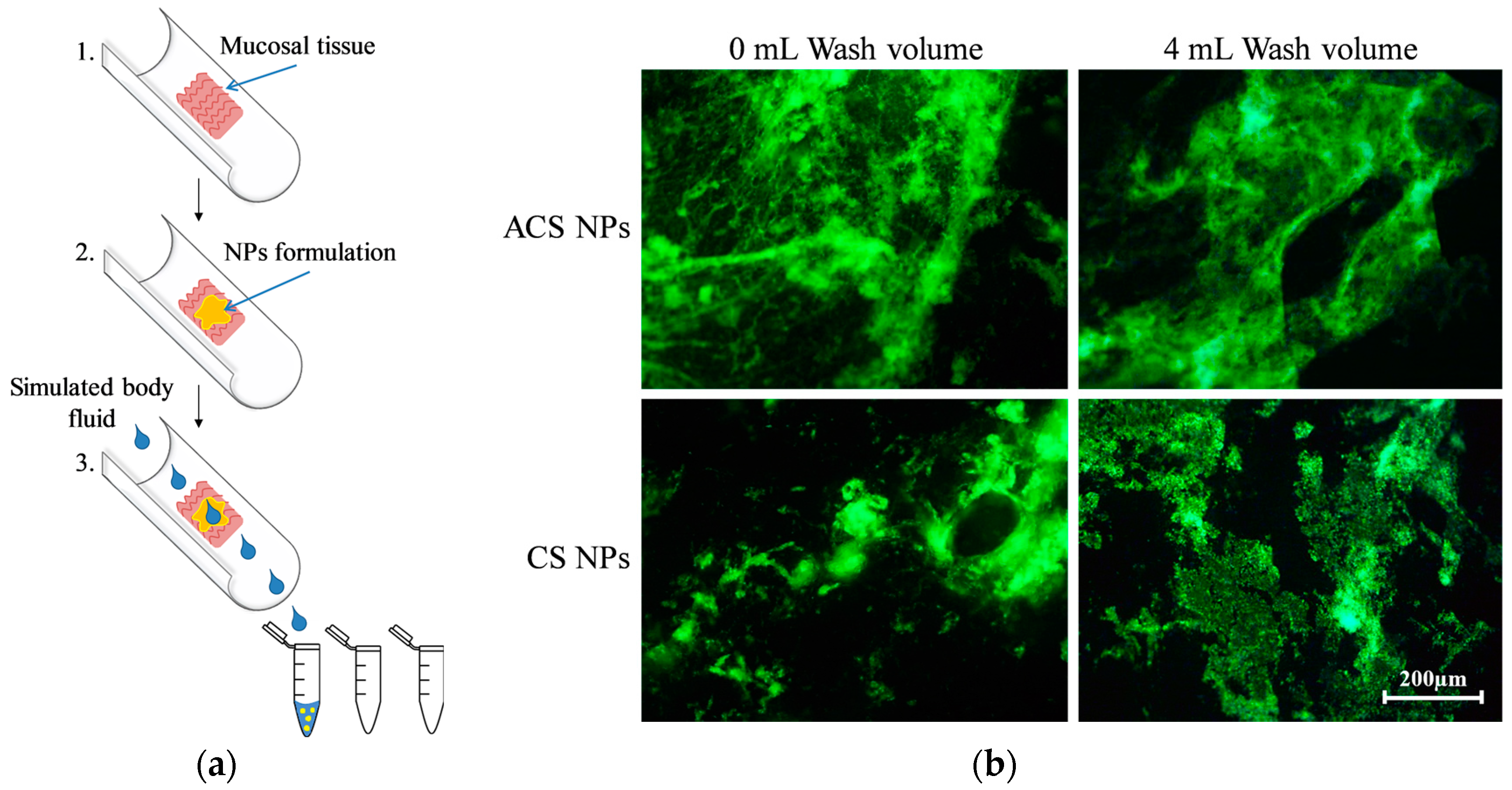 Polymers 10 00106 g004