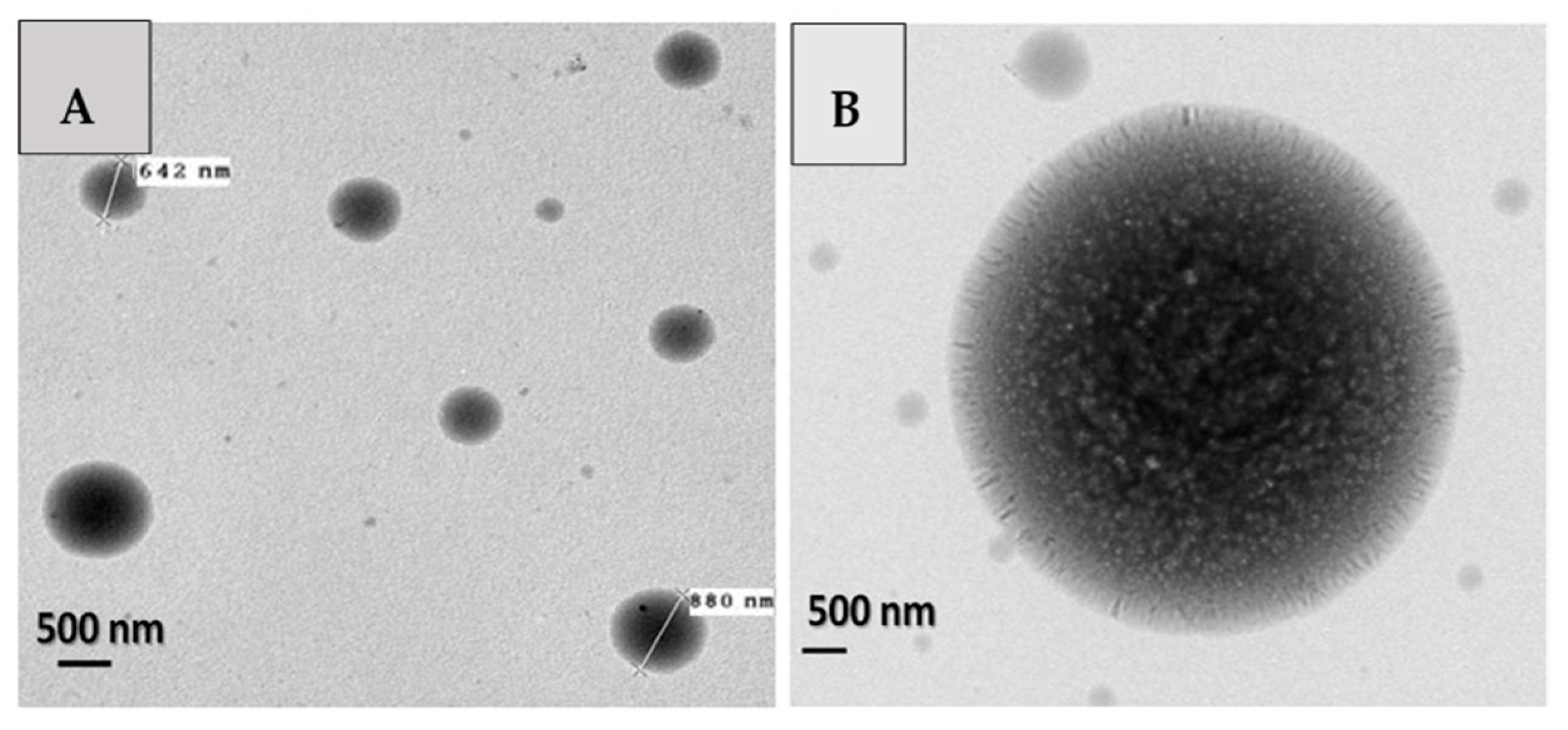 Polymers 10 00108 g003