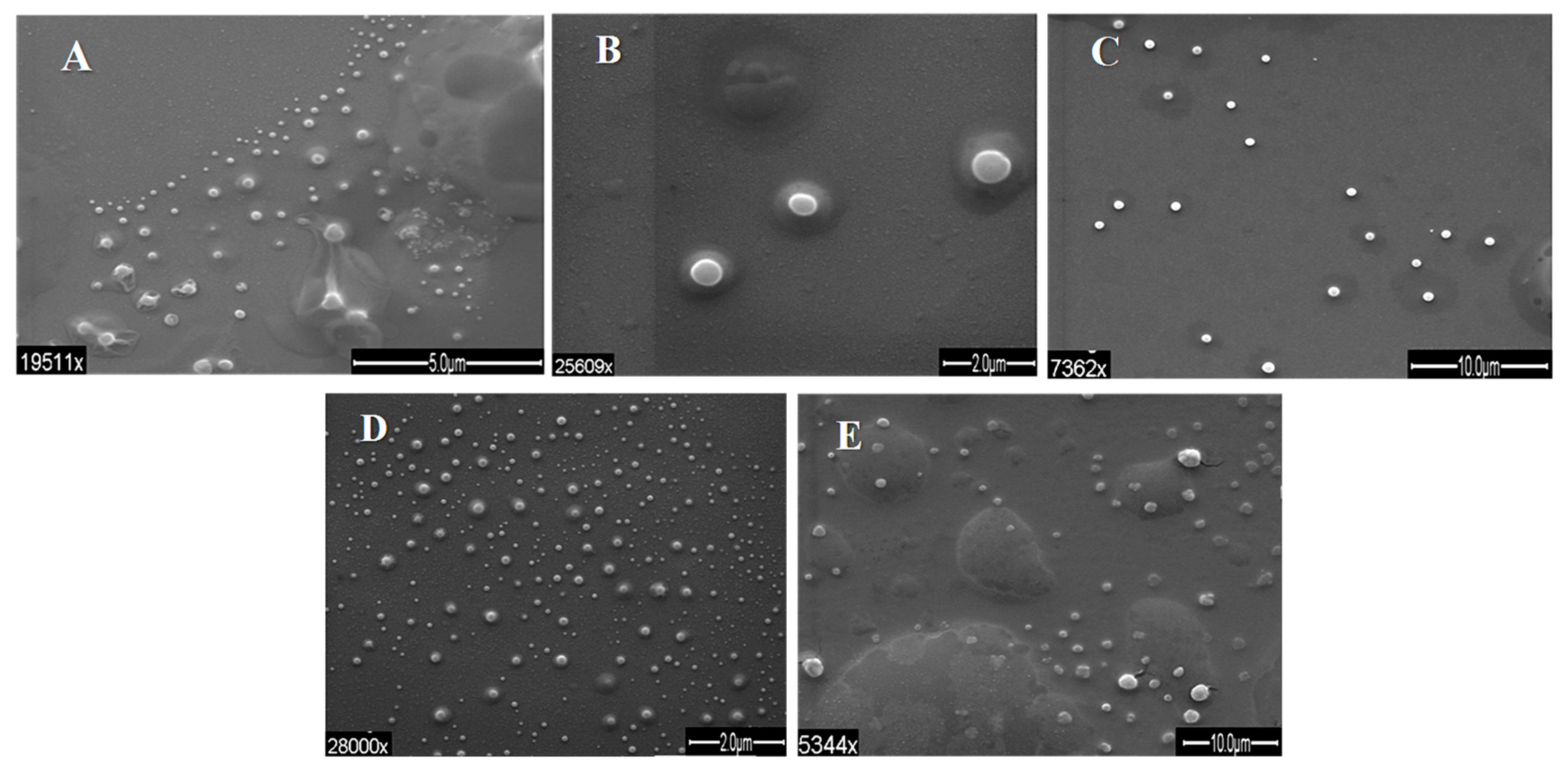 Polymers 10 00108 g006