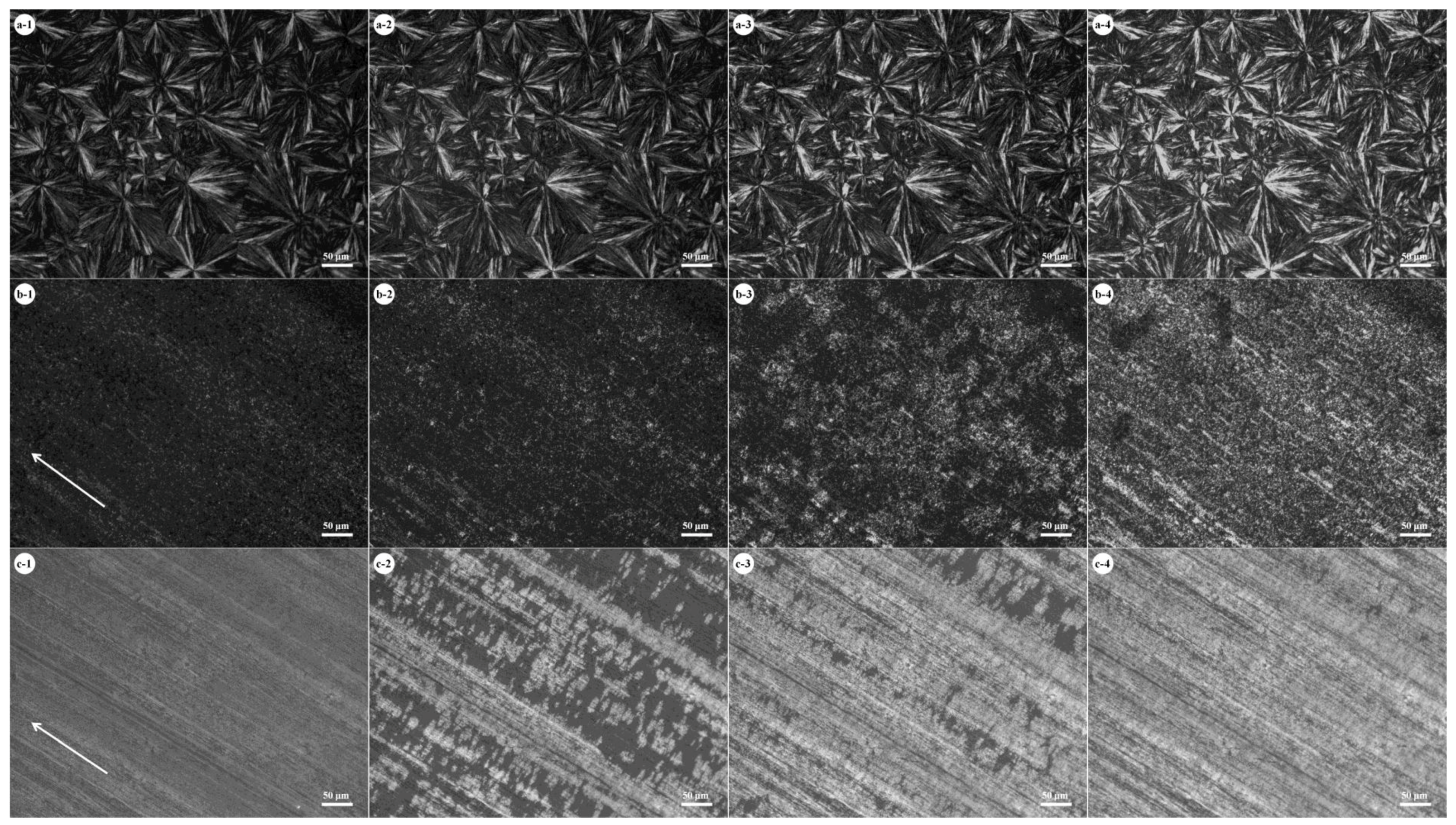Polymers 10 00110 g003