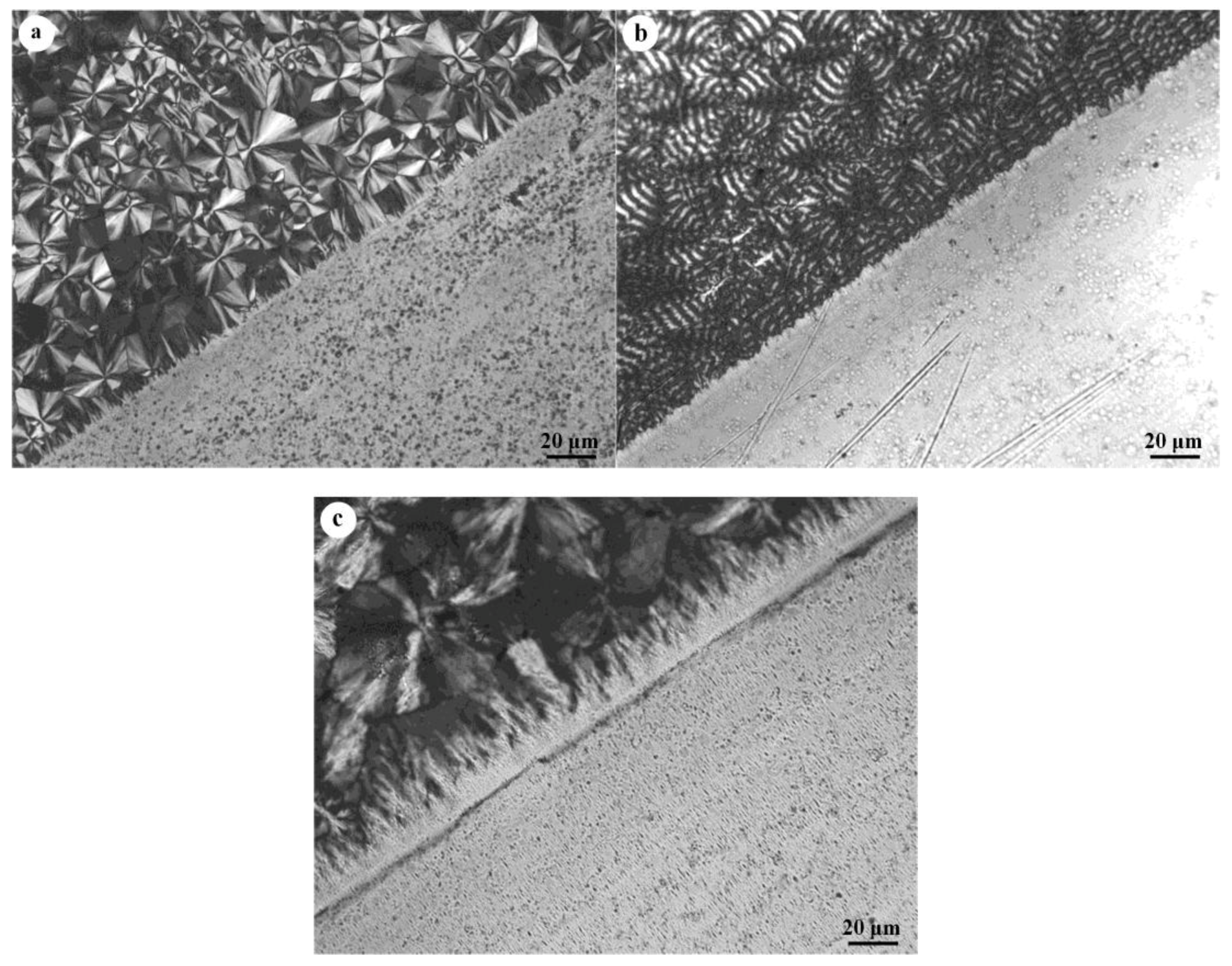 Polymers 10 00110 g004