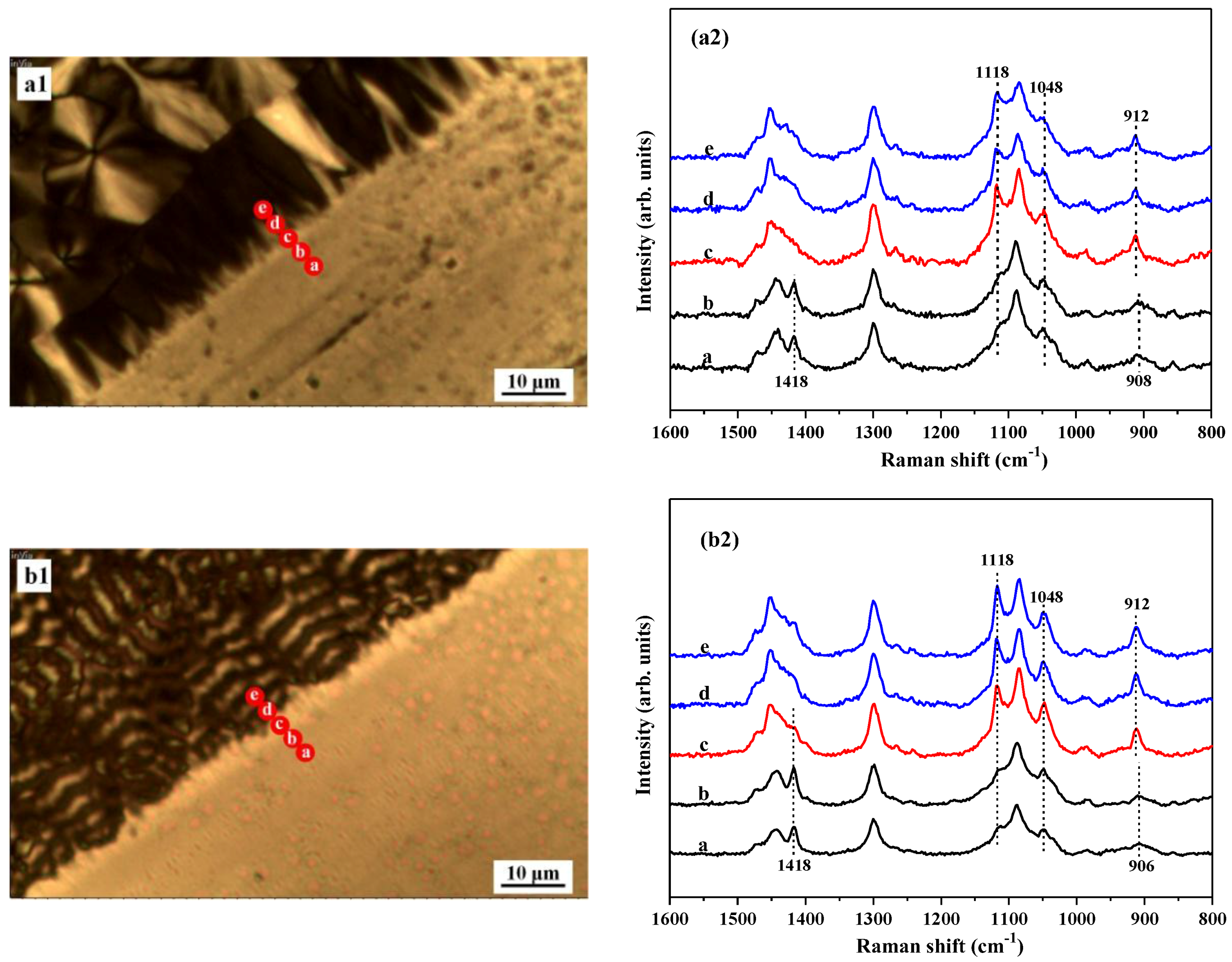 Polymers 10 00110 g006