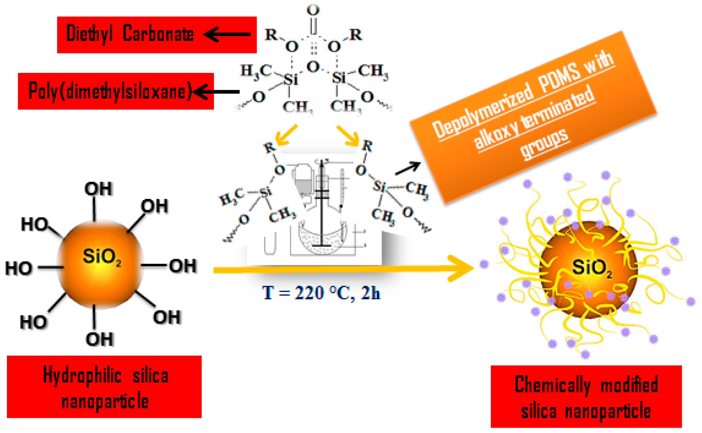 Polymers 10 00116 sch001