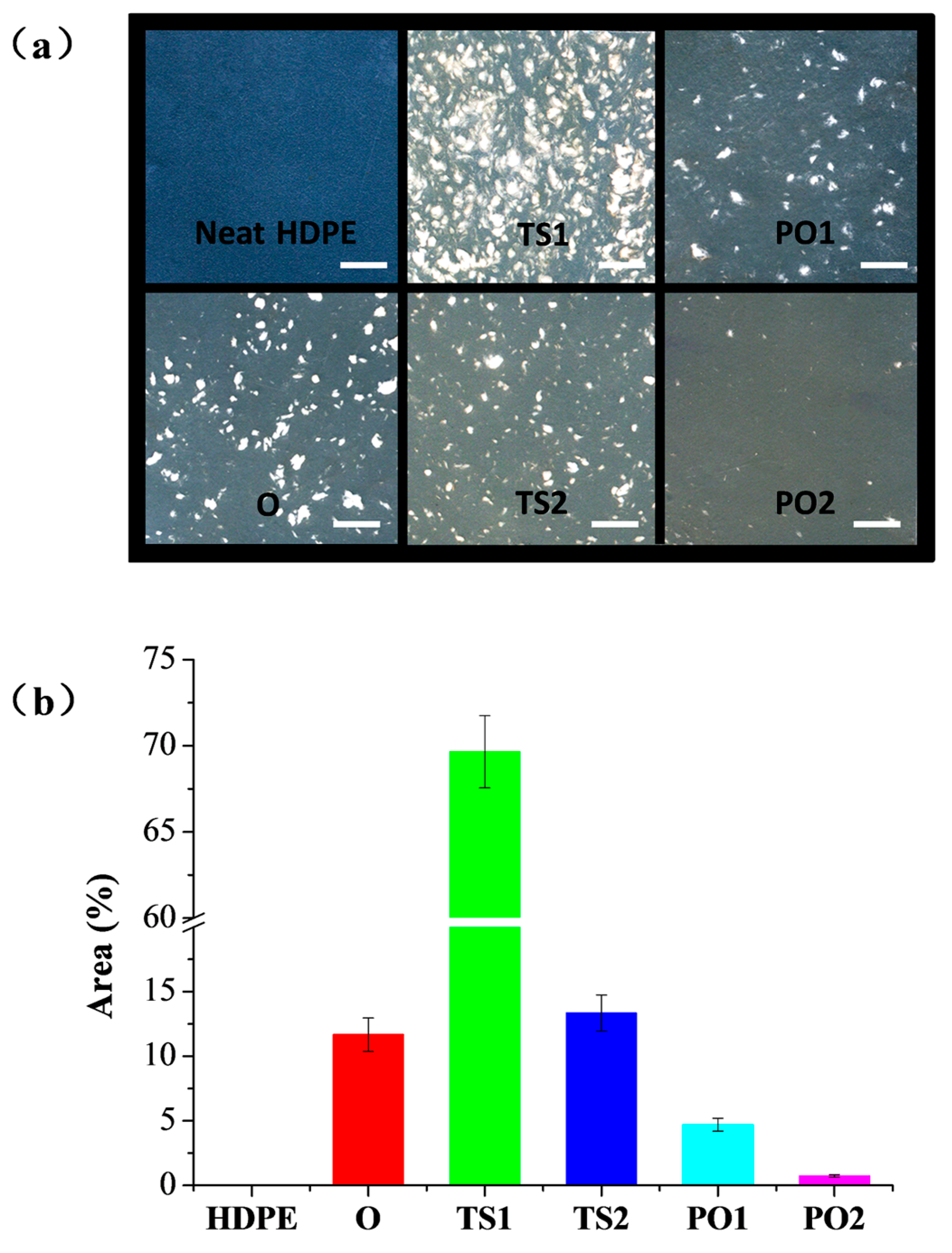 Polymers 10 00122 g002