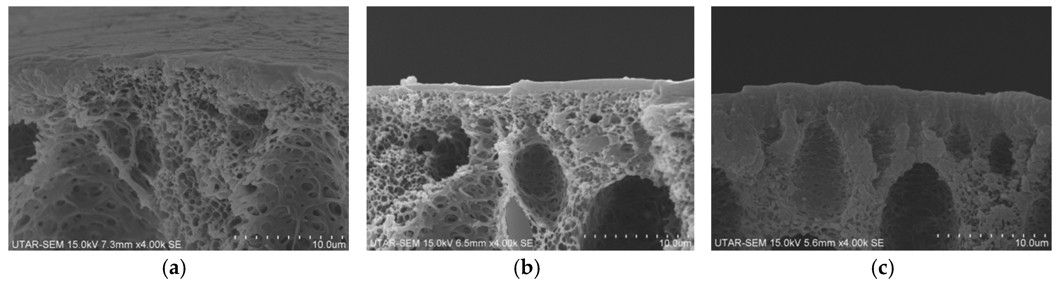 Polymers 10 00126 g004 Polymers 10 00126 g004
