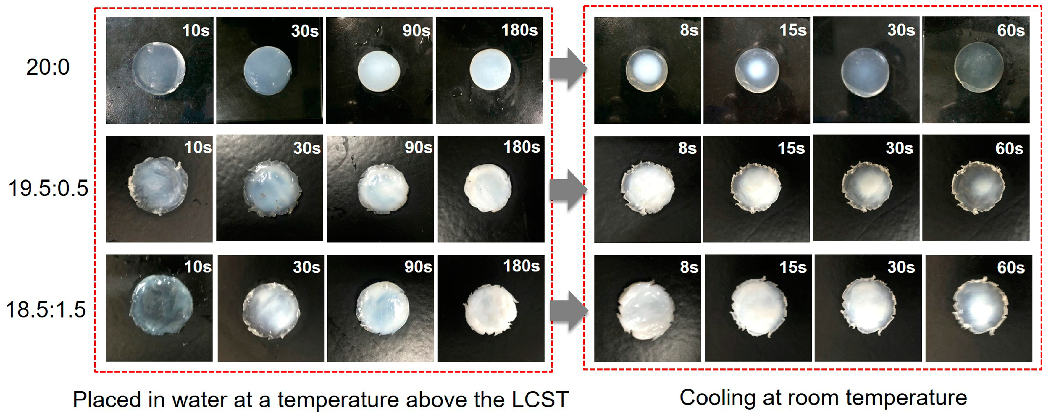 Polymers 10 00128 g008