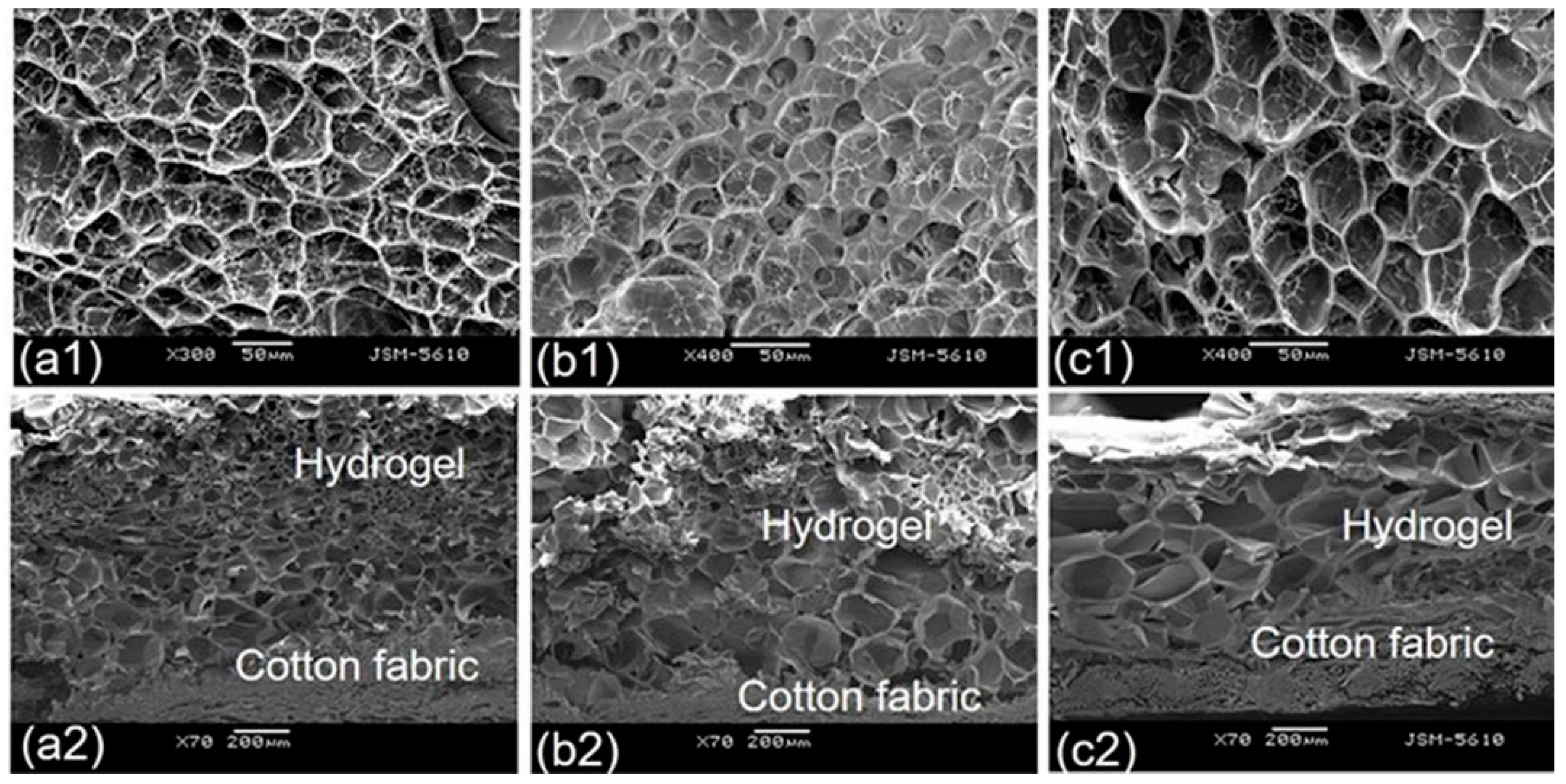 Polymers 10 00128 g012