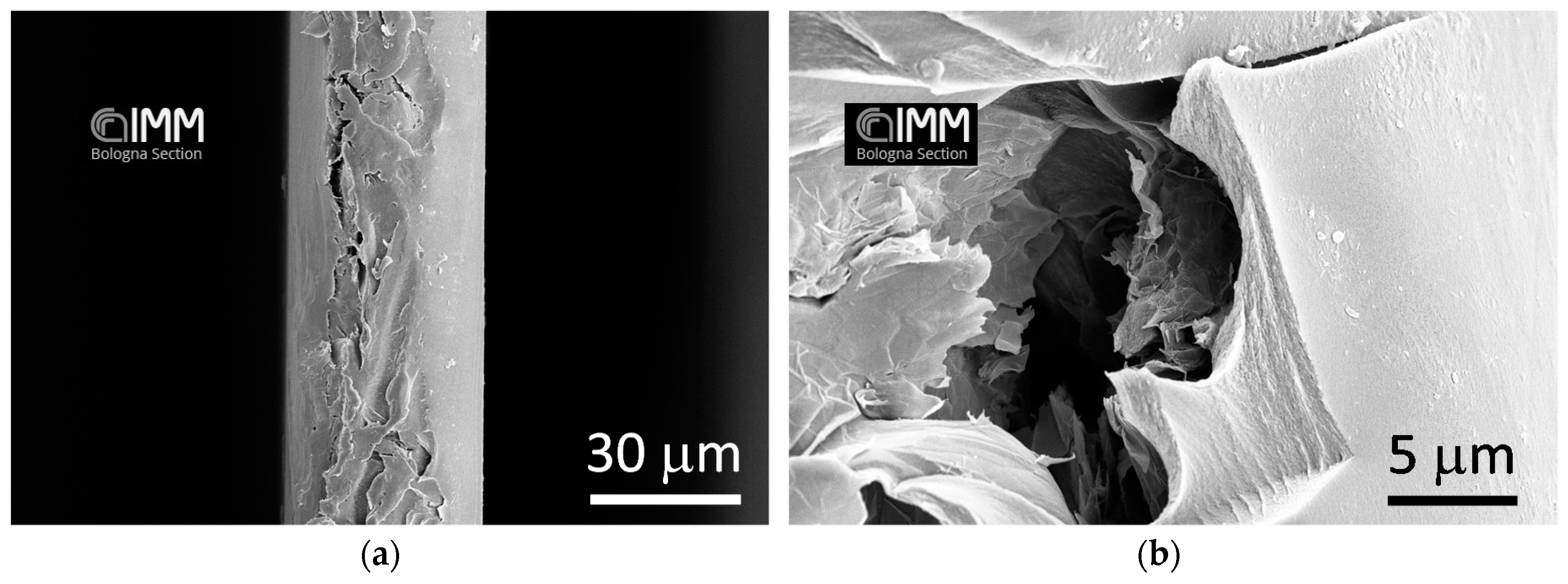 Polymers 10 00129 g003a