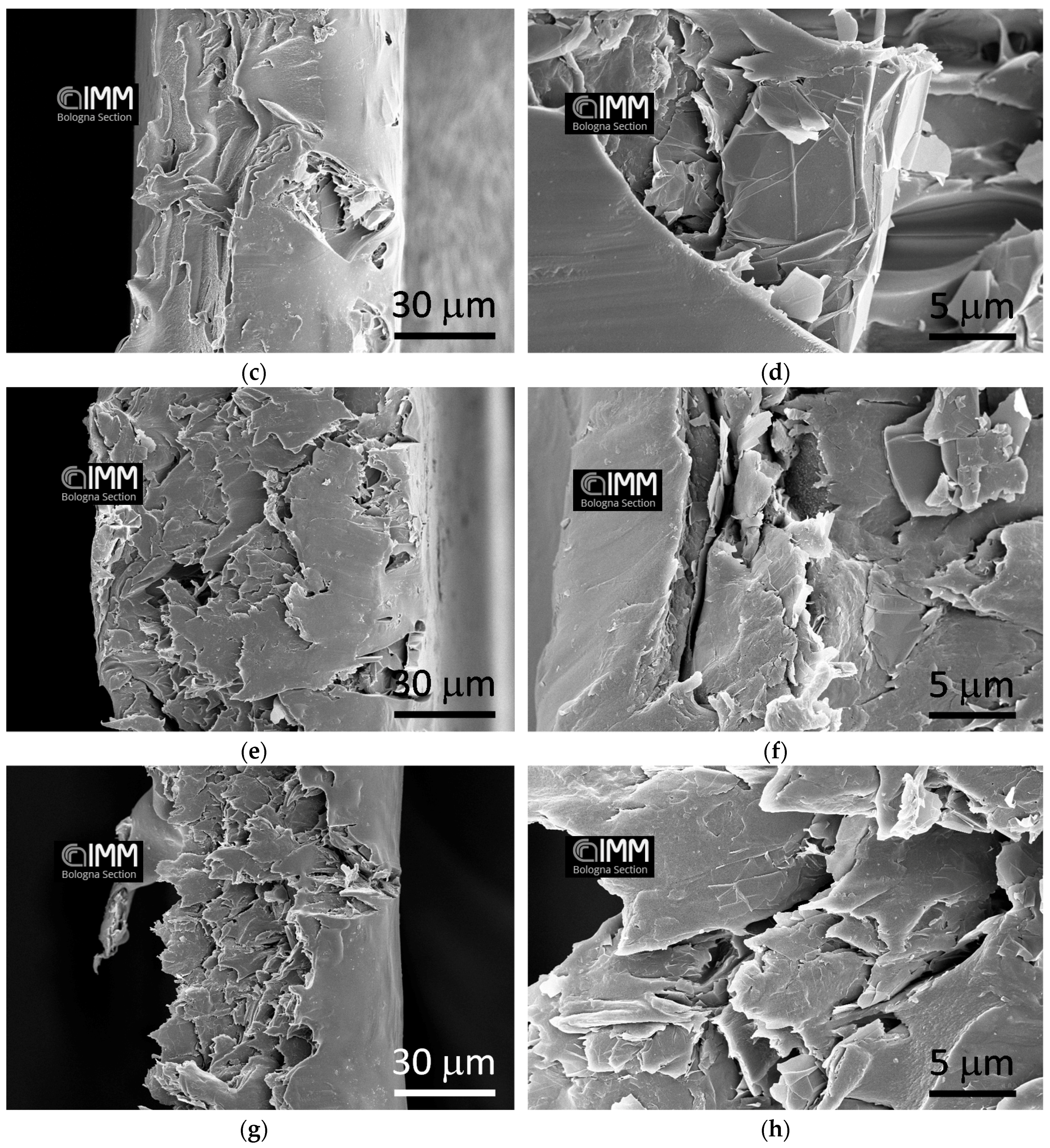 Polymers 10 00129 g003b