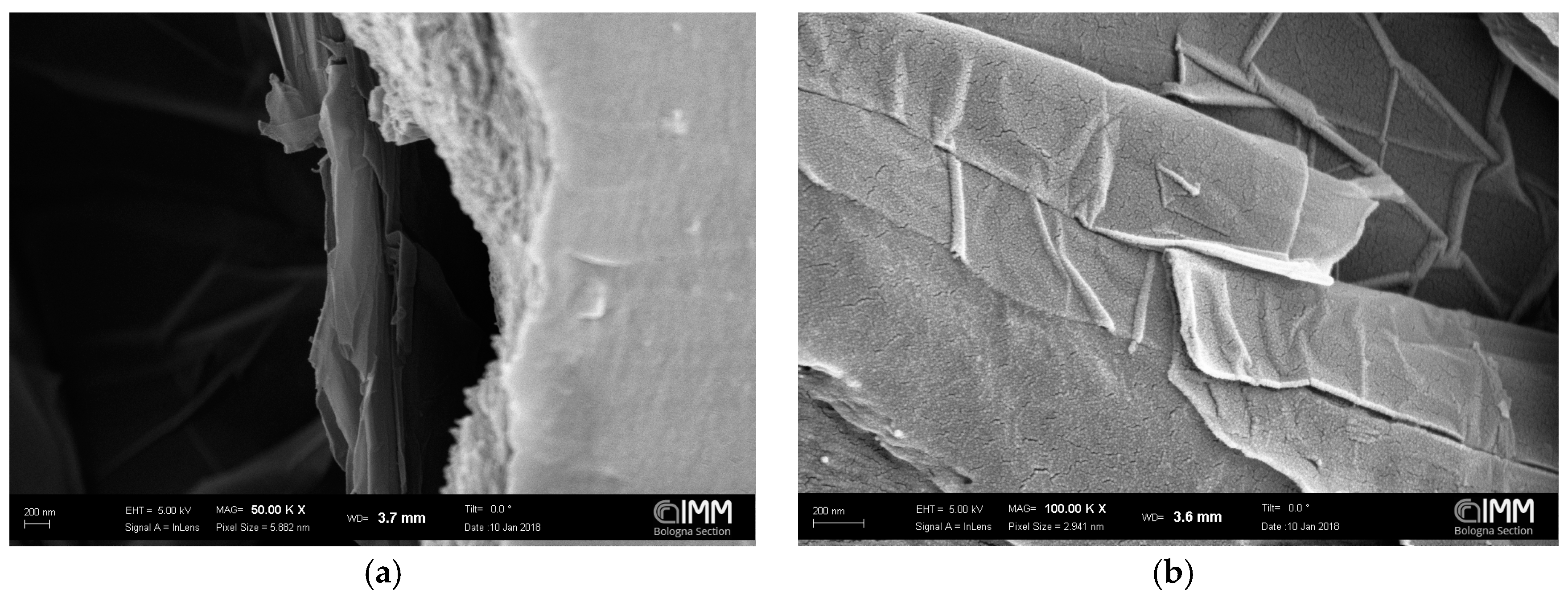 Polymers 10 00129 g004a