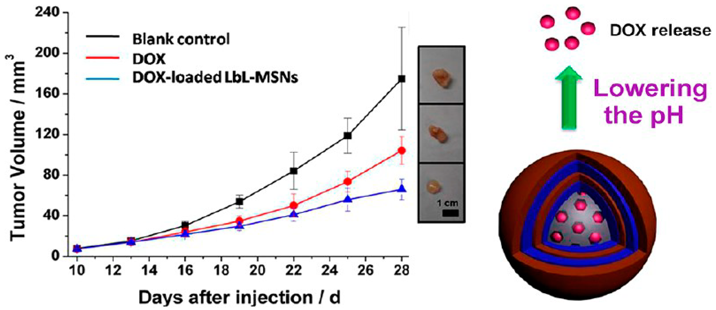 Polymers 10 00130 g009