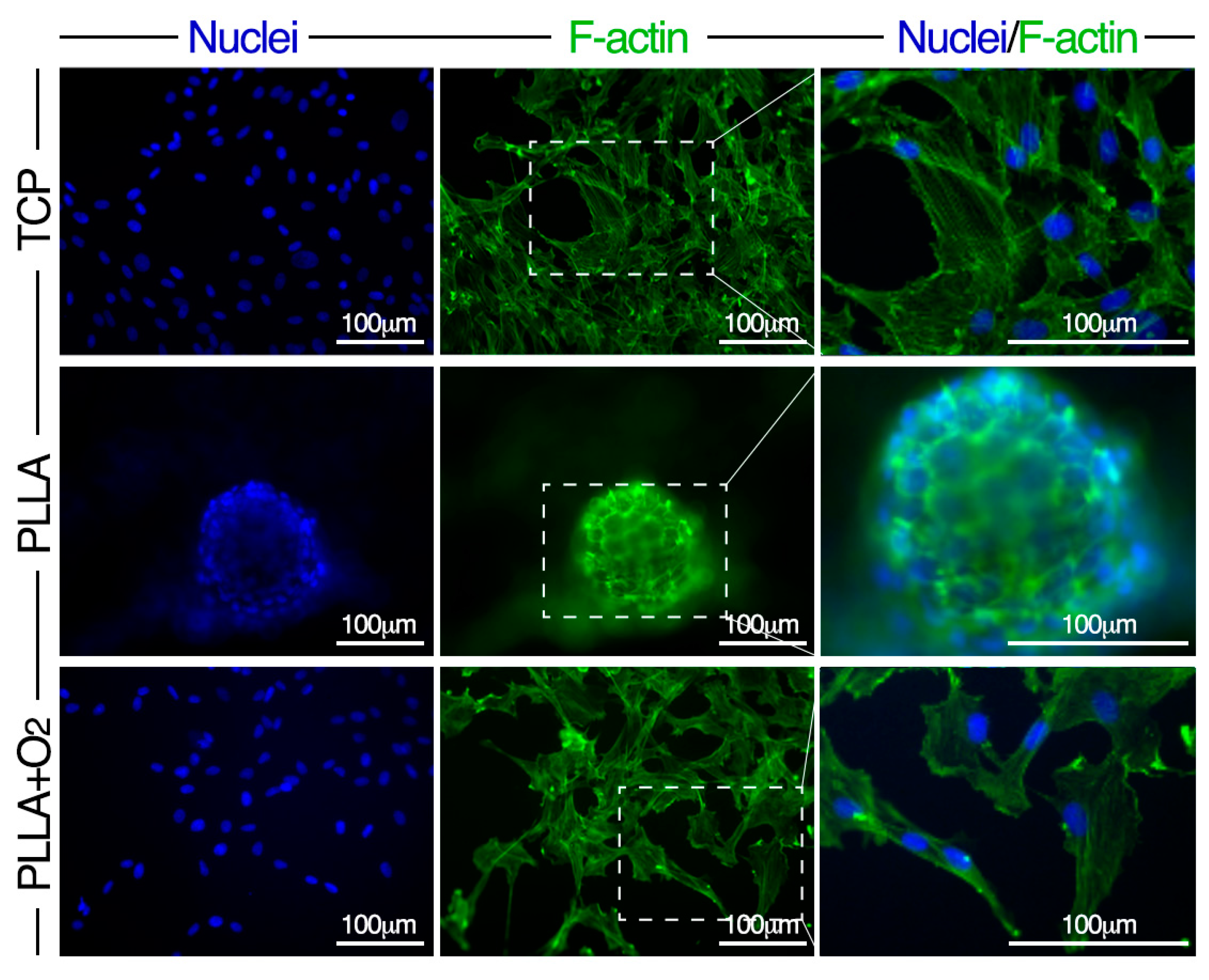 Polymers 10 00140 g003