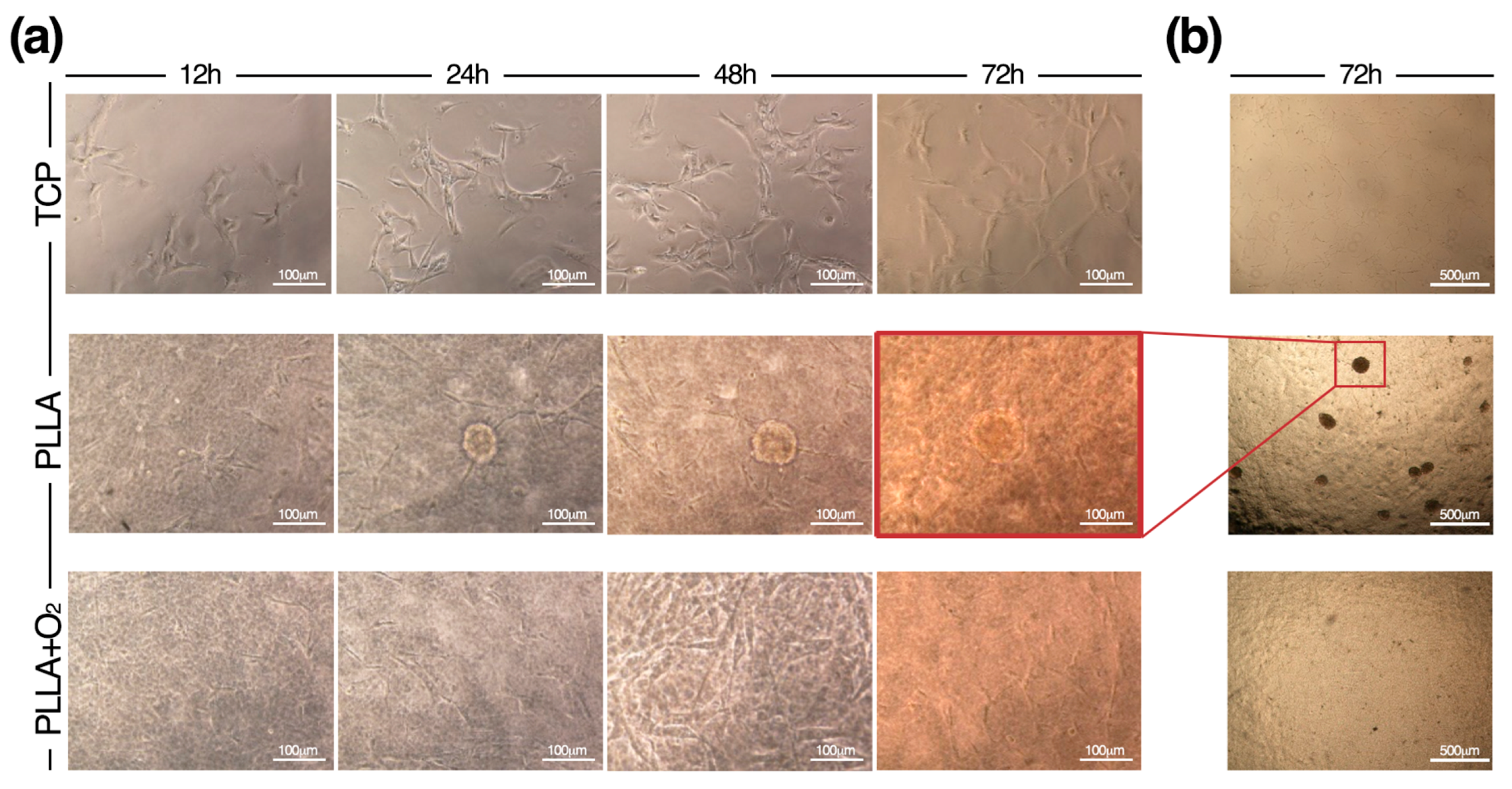 Polymers 10 00140 g006