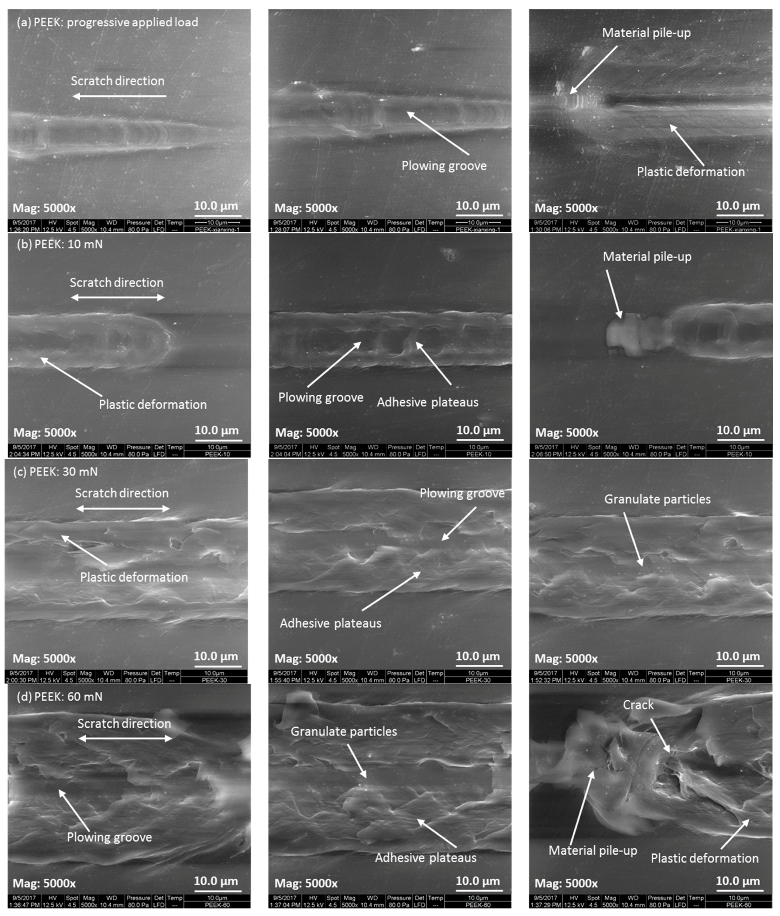 Polymers 10 00142 g006