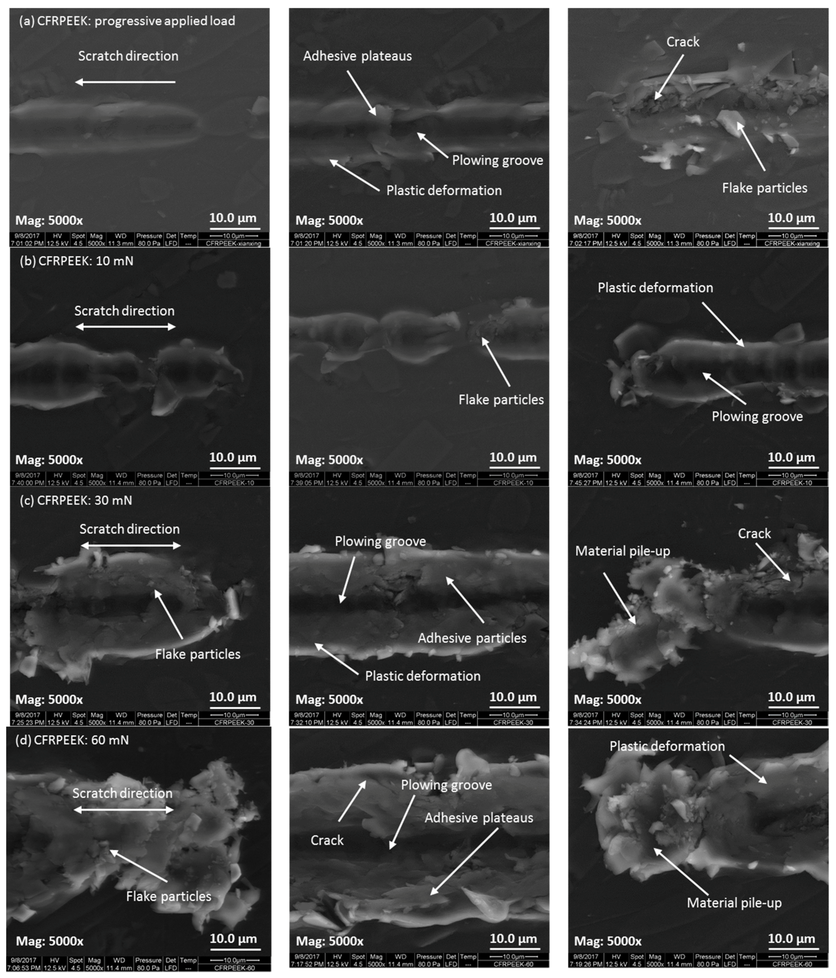 Polymers 10 00142 g007