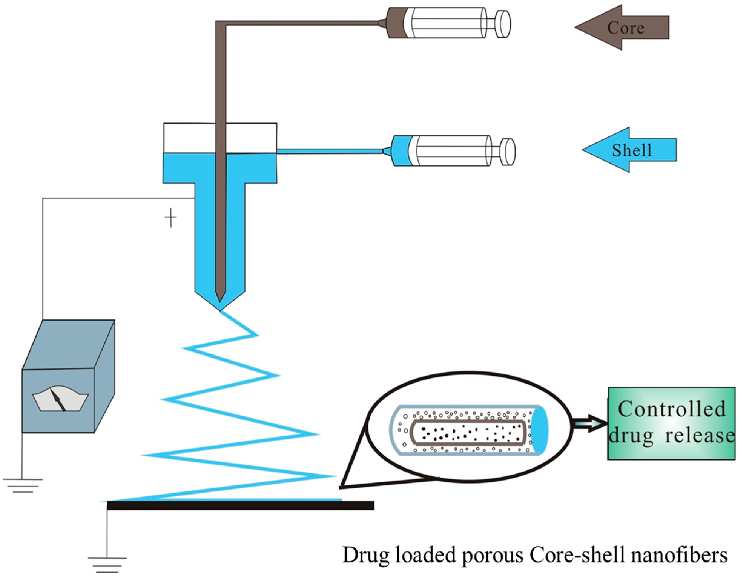 Polymers 10 00144 g001