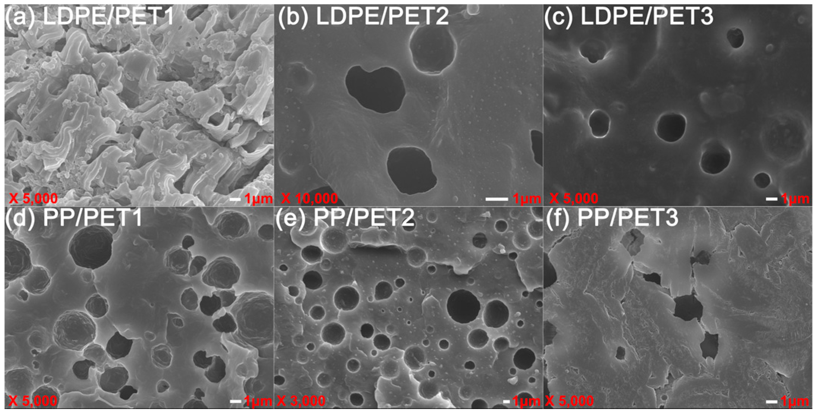 Polymers 10 00147 g009