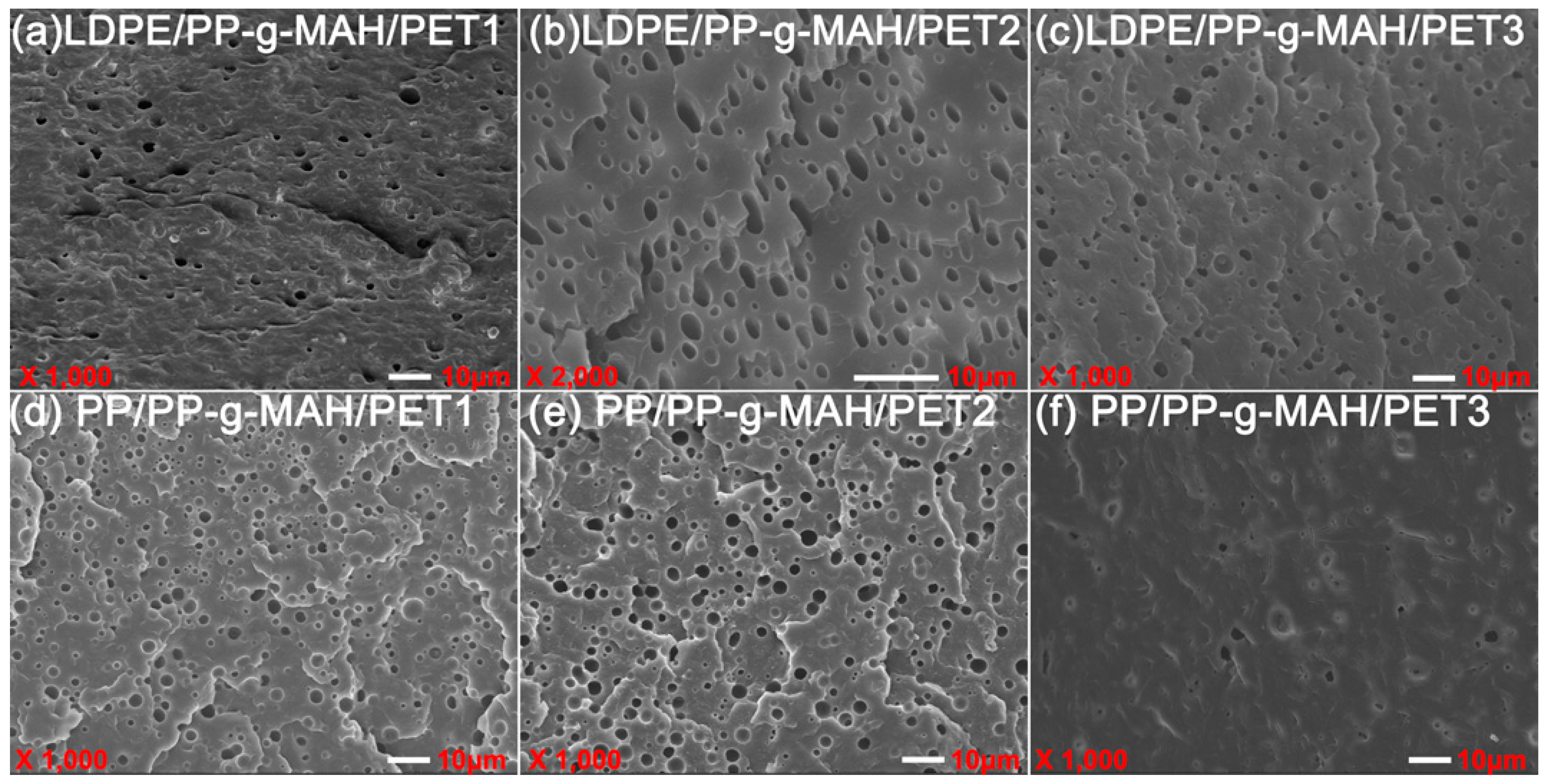 Polymers 10 00147 g010