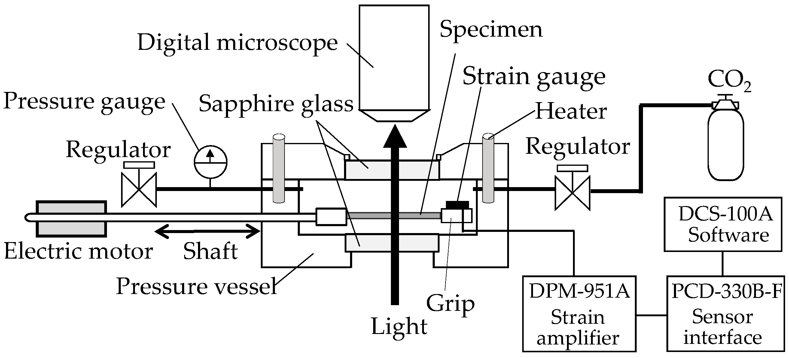Polymers 10 00148 g001