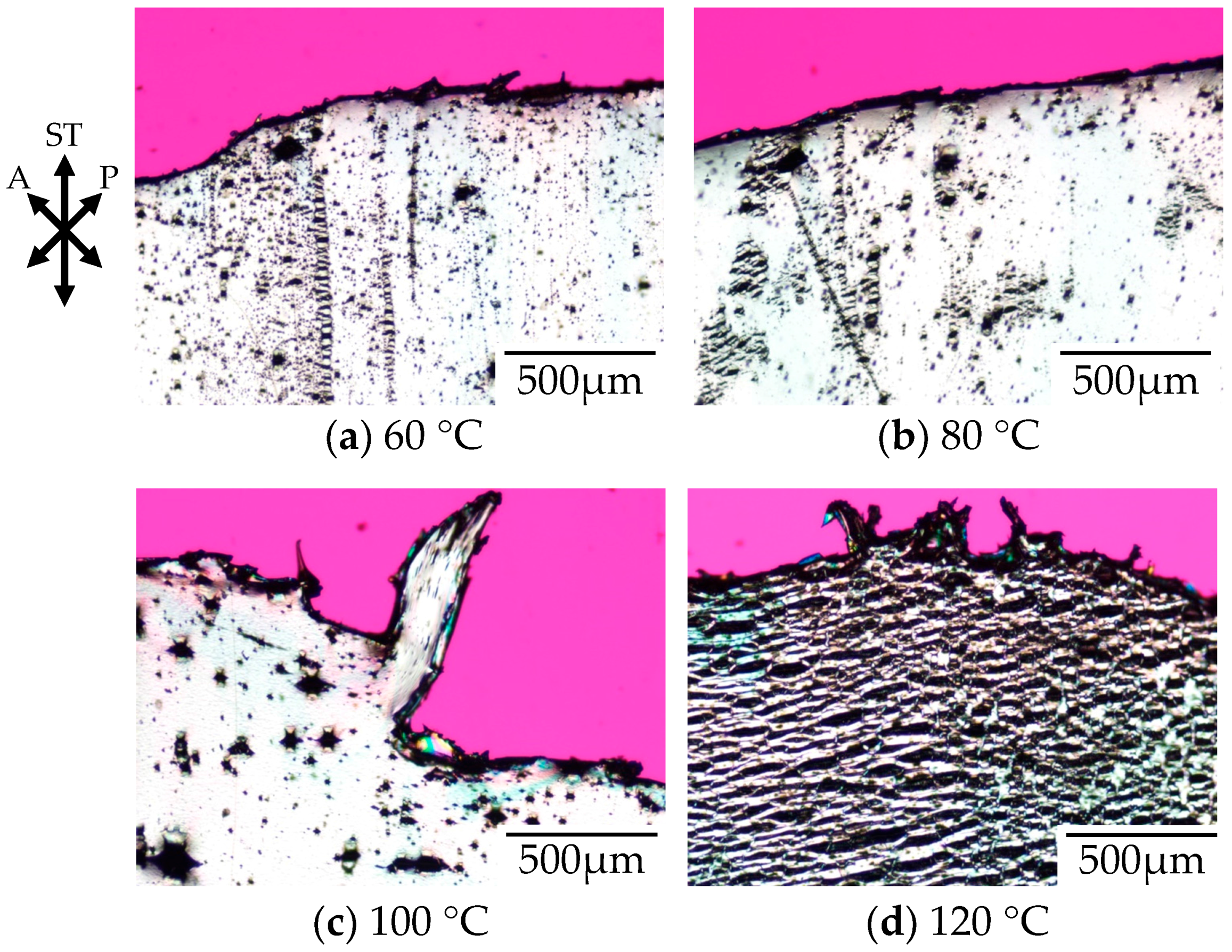 Polymers 10 00148 g002
