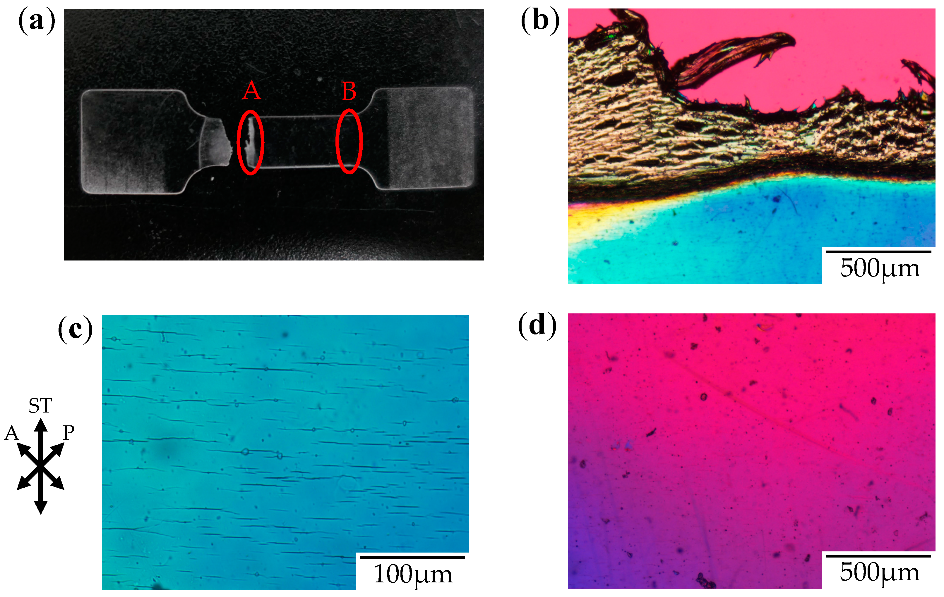 Polymers 10 00148 g003