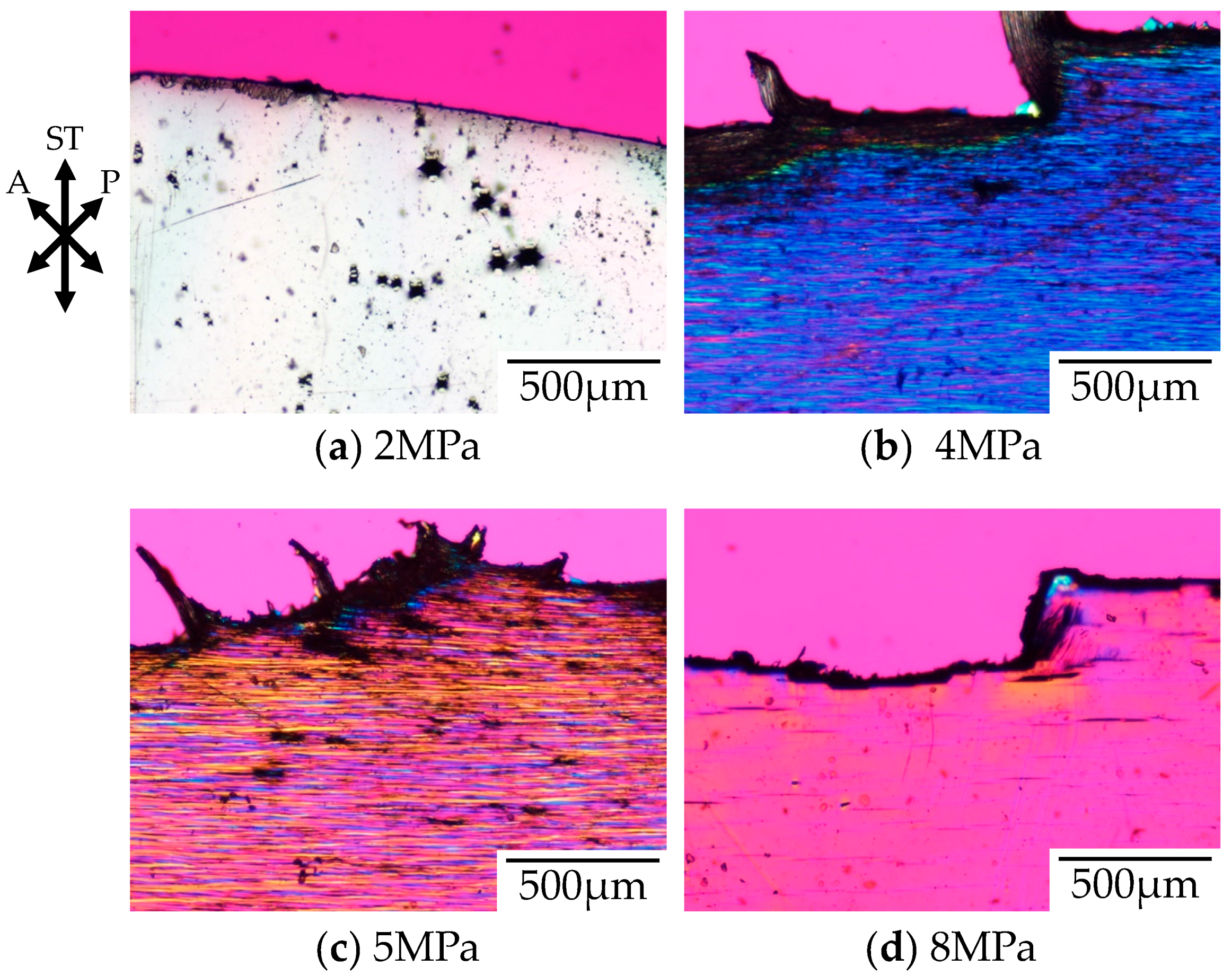 Polymers 10 00148 g005