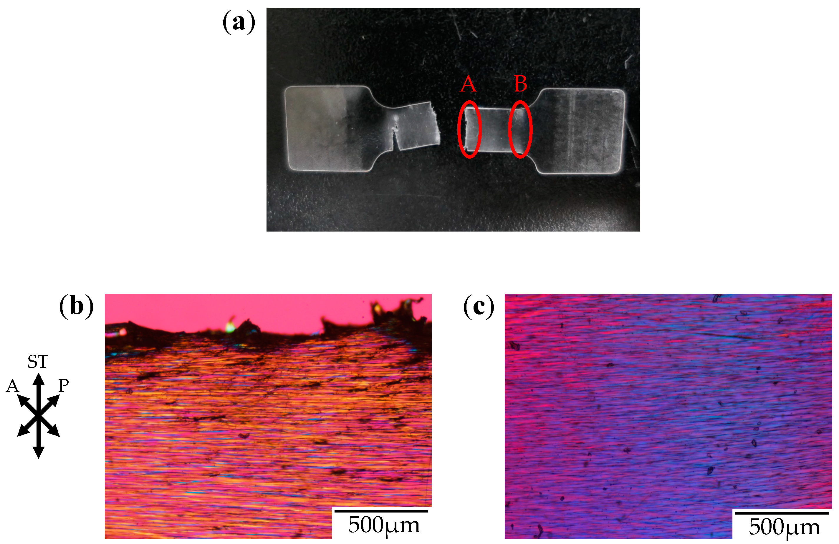 Polymers 10 00148 g006