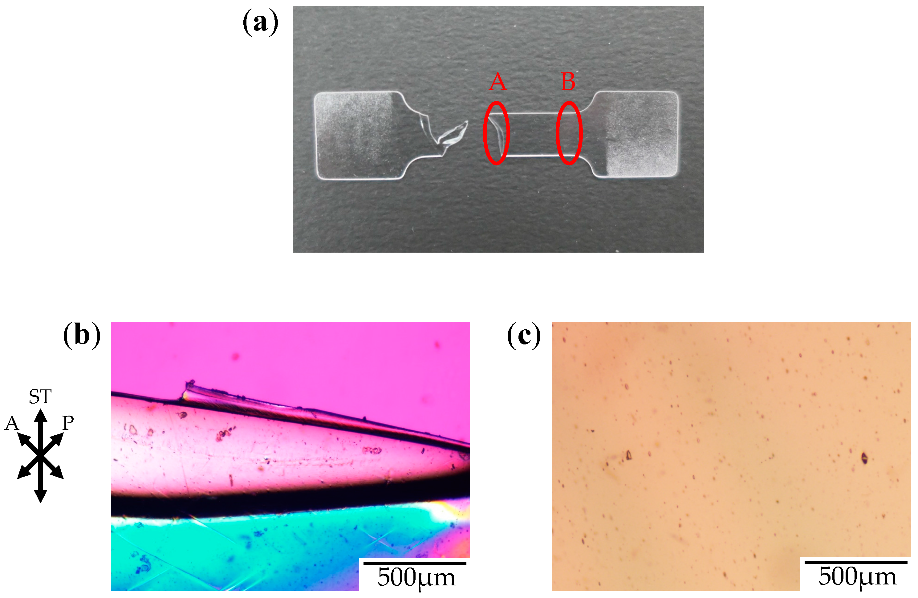 Polymers 10 00148 g013