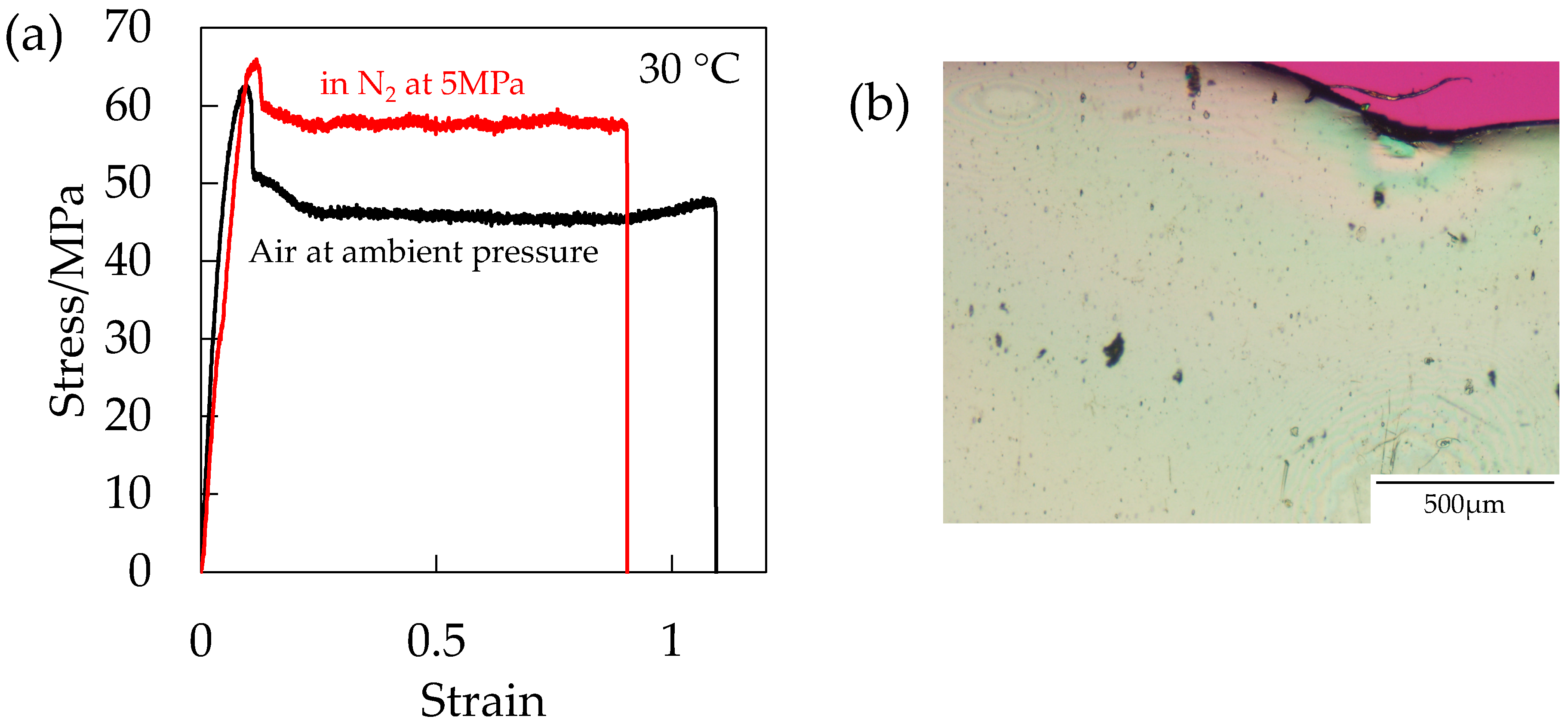Polymers 10 00148 g014