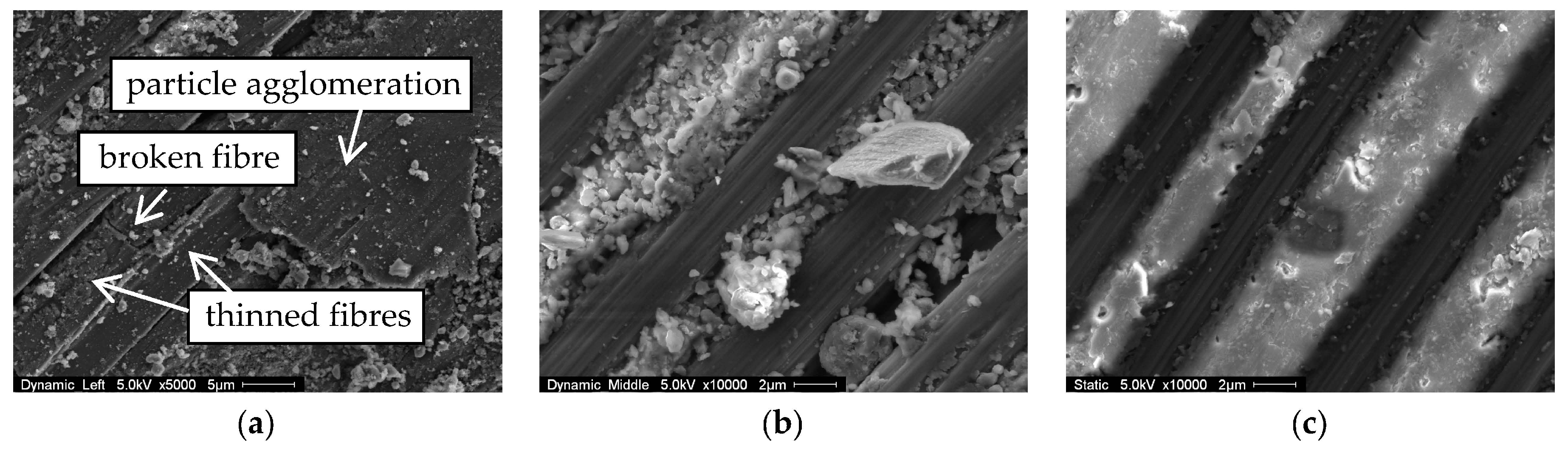 Polymers 10 00169 g006