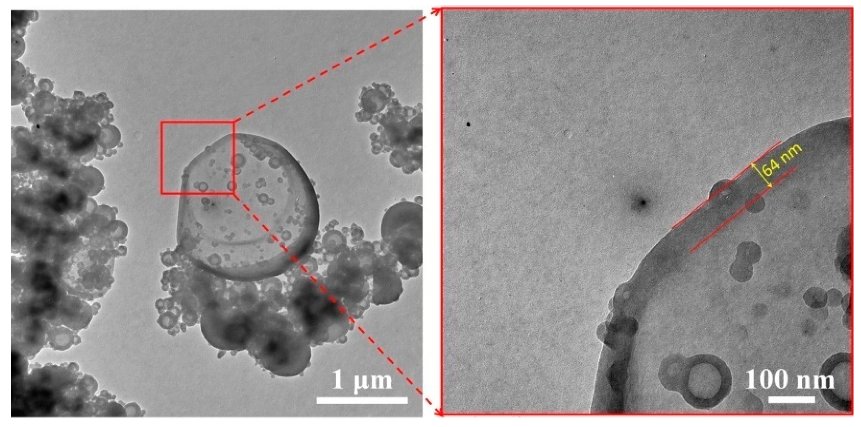 Polymers 10 00172 g005