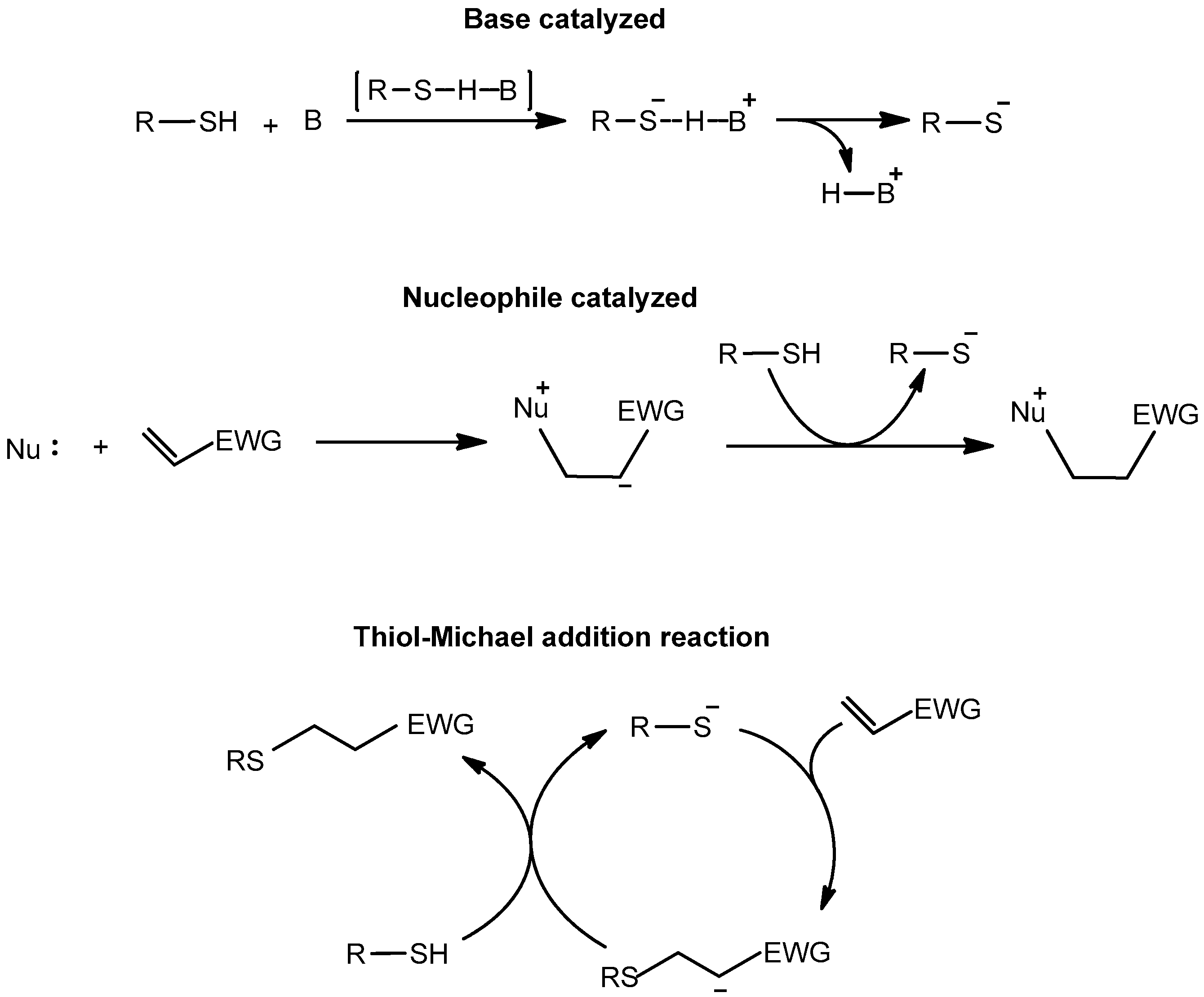 Polymers 10 00178 sch004