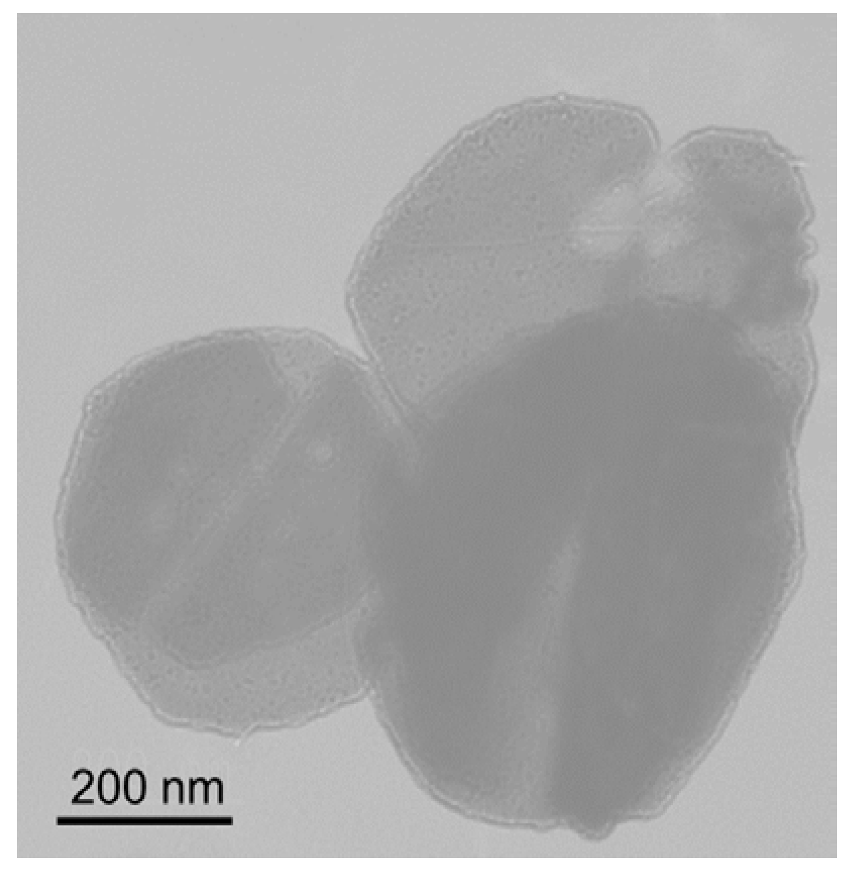 Polymers 10 00180 g003