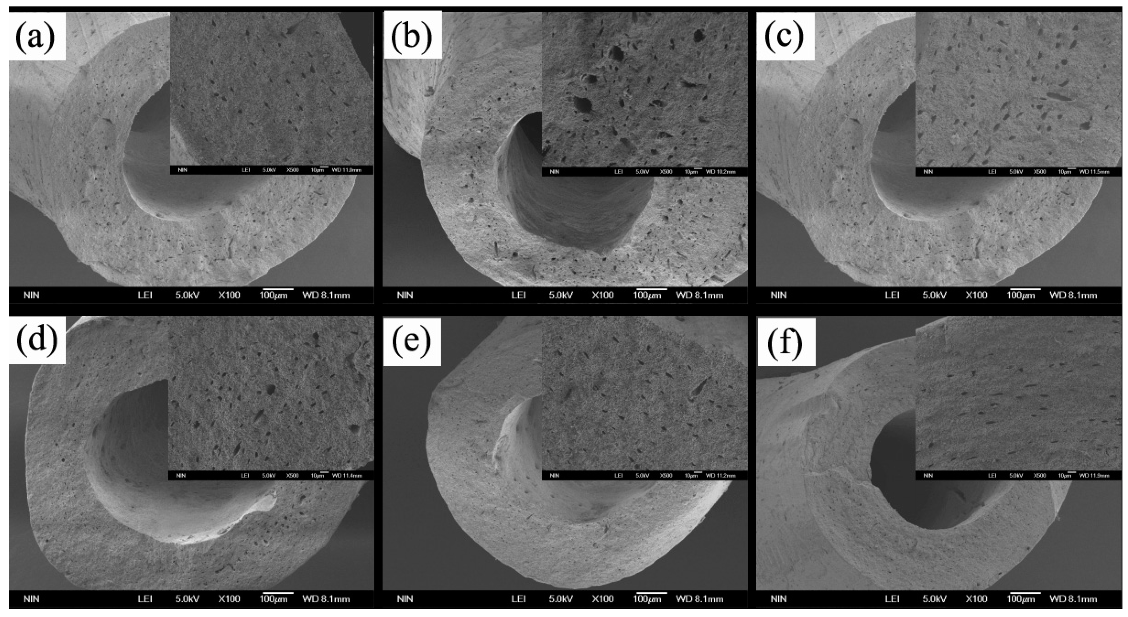 Polymers 10 00185 g010