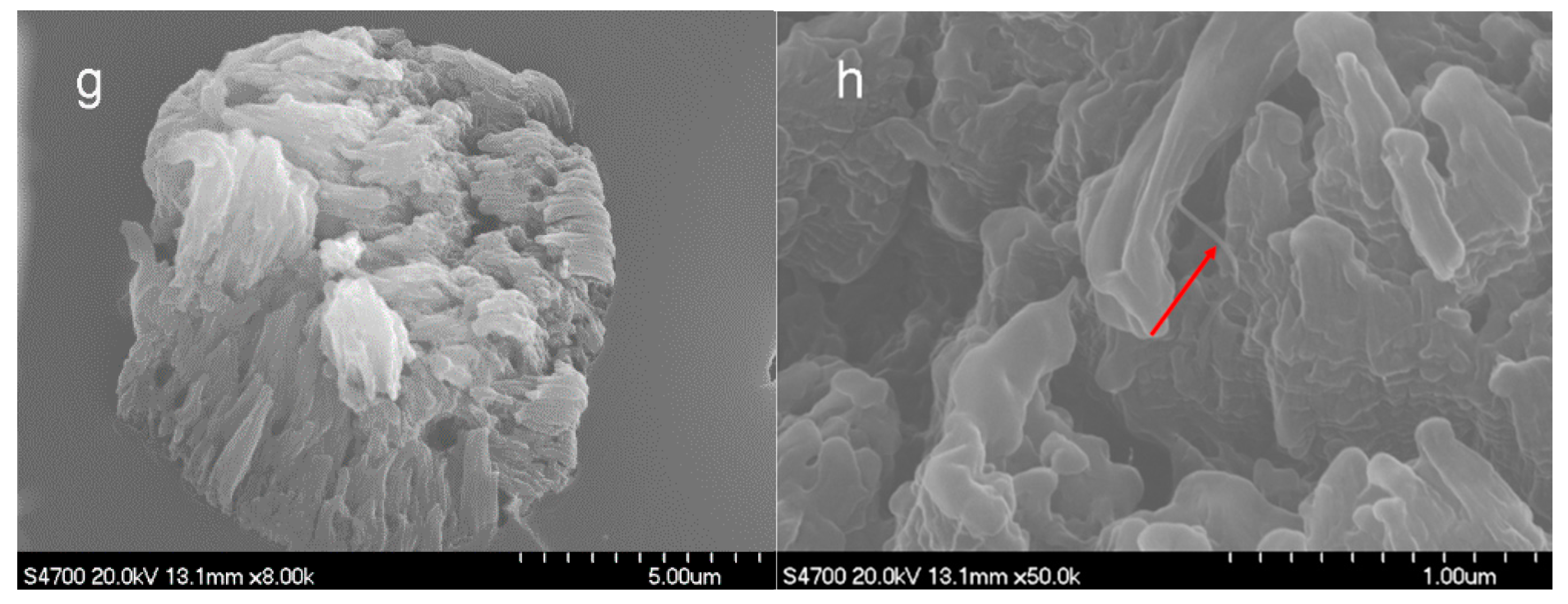 Polymers 10 00186 g009b Polymers 10 00186 g009b