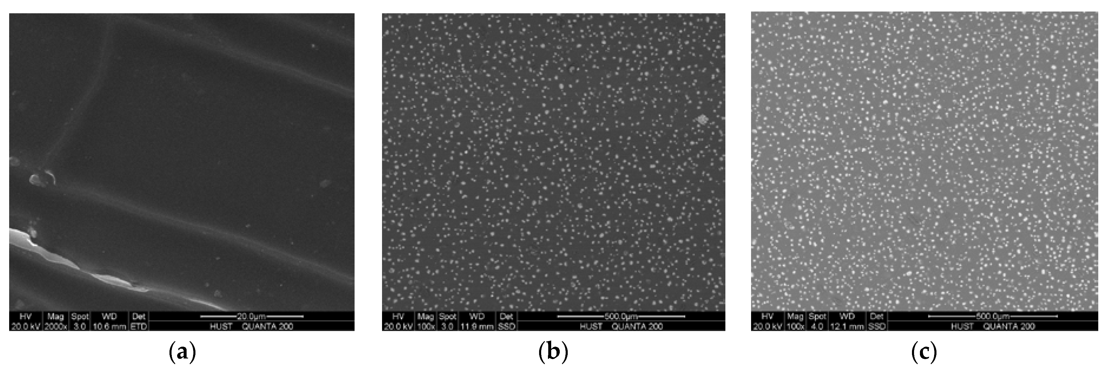 Polymers 10 00195 g007