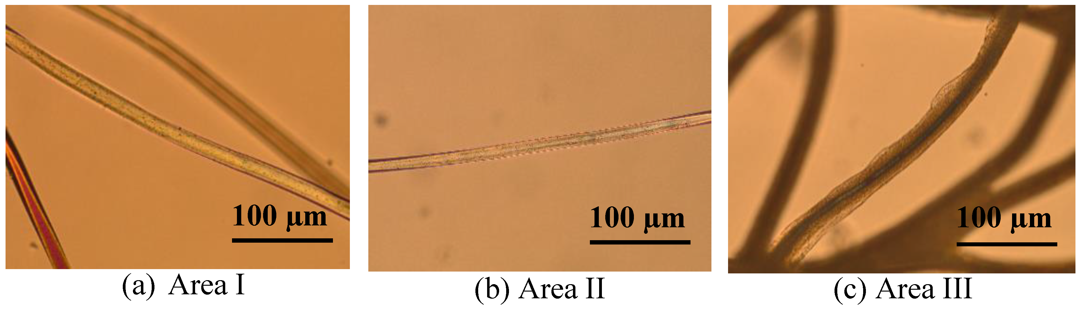 Polymers 10 00207 g002