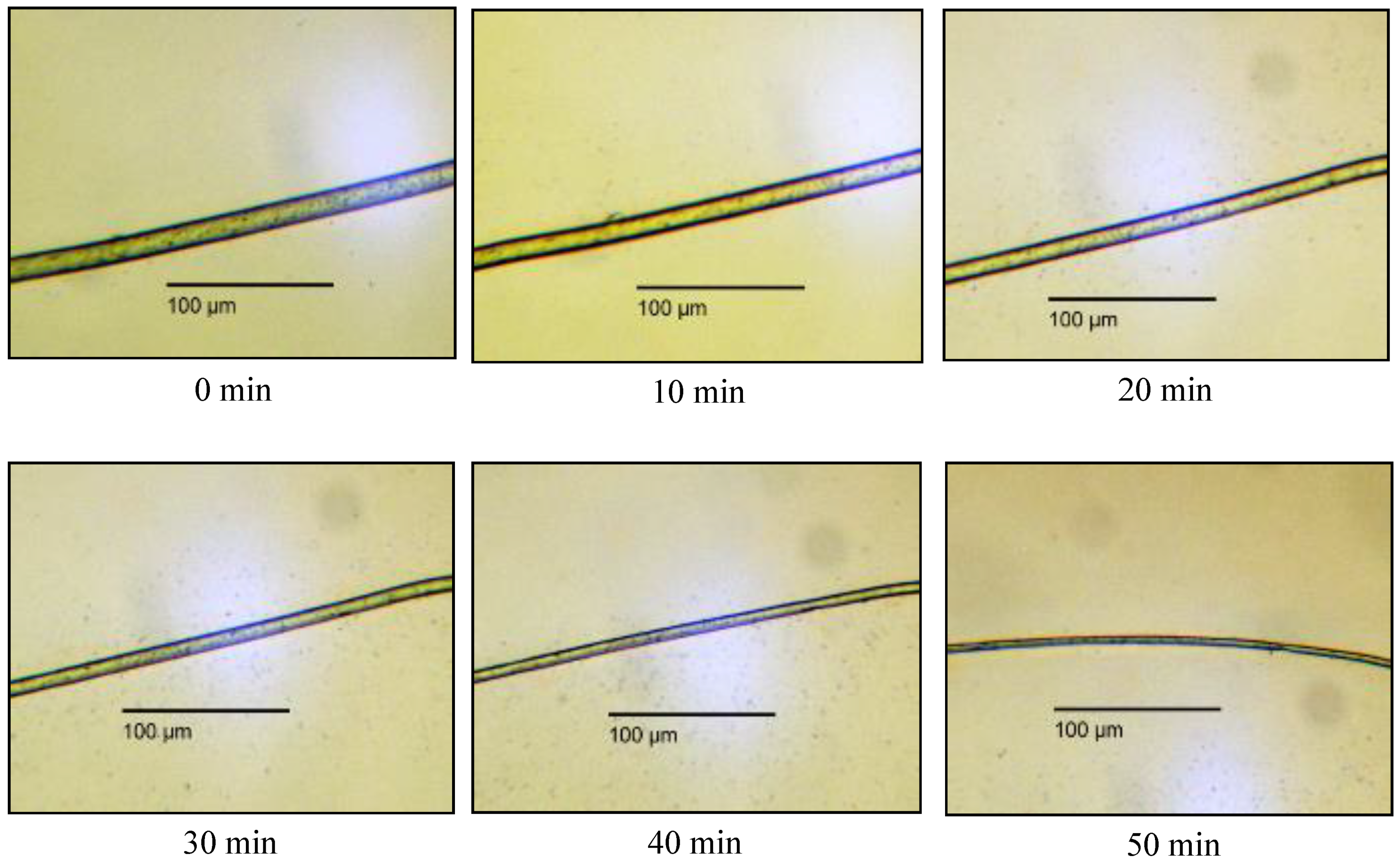 Polymers 10 00207 g005