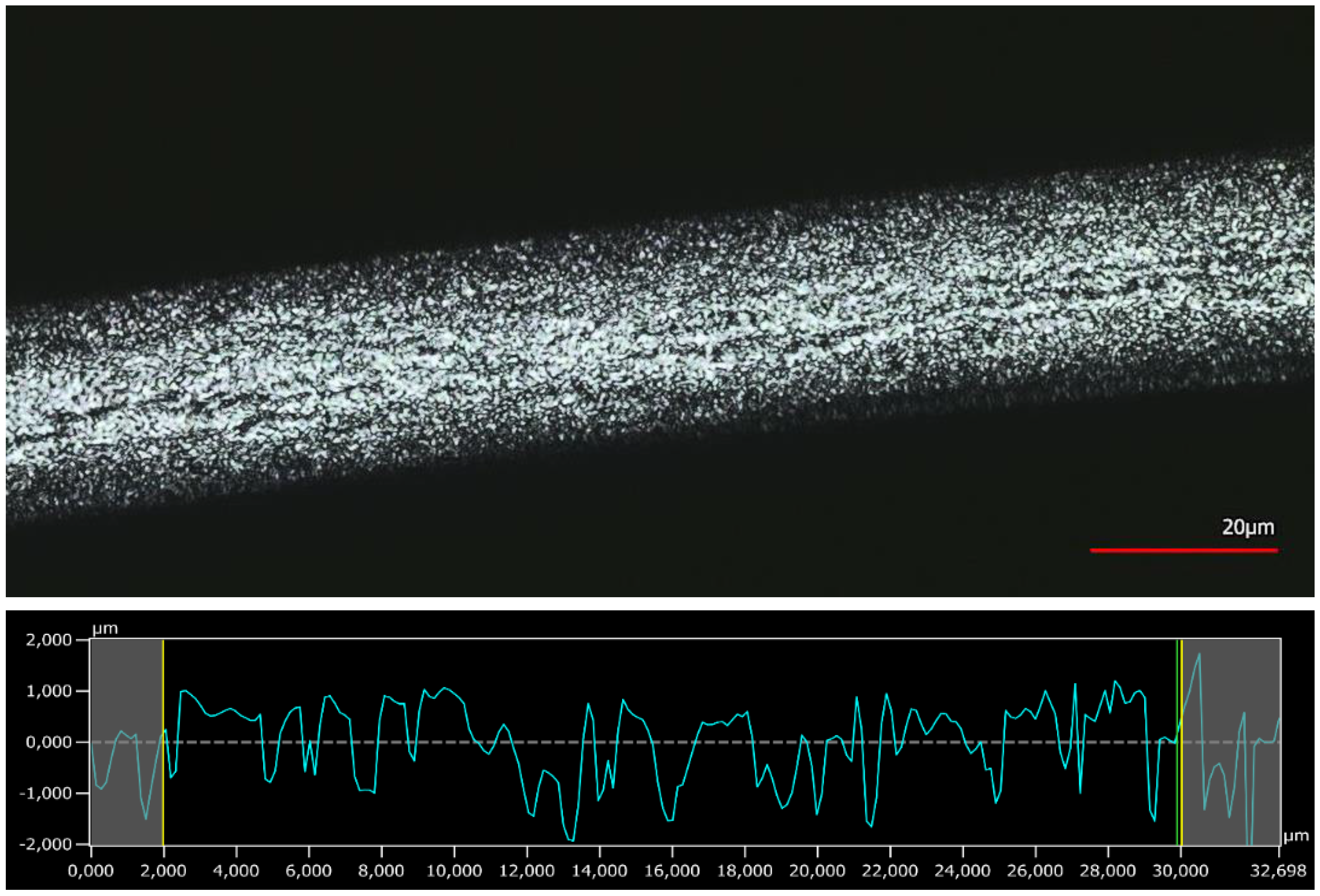 Polymers 10 00207 g013