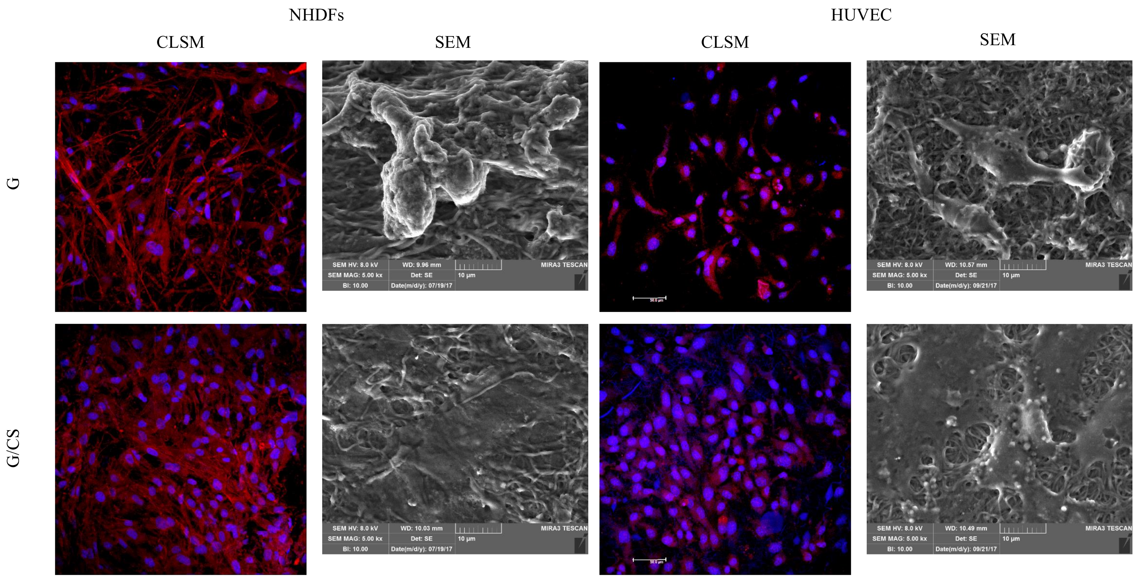 Polymers 10 00208 g005
