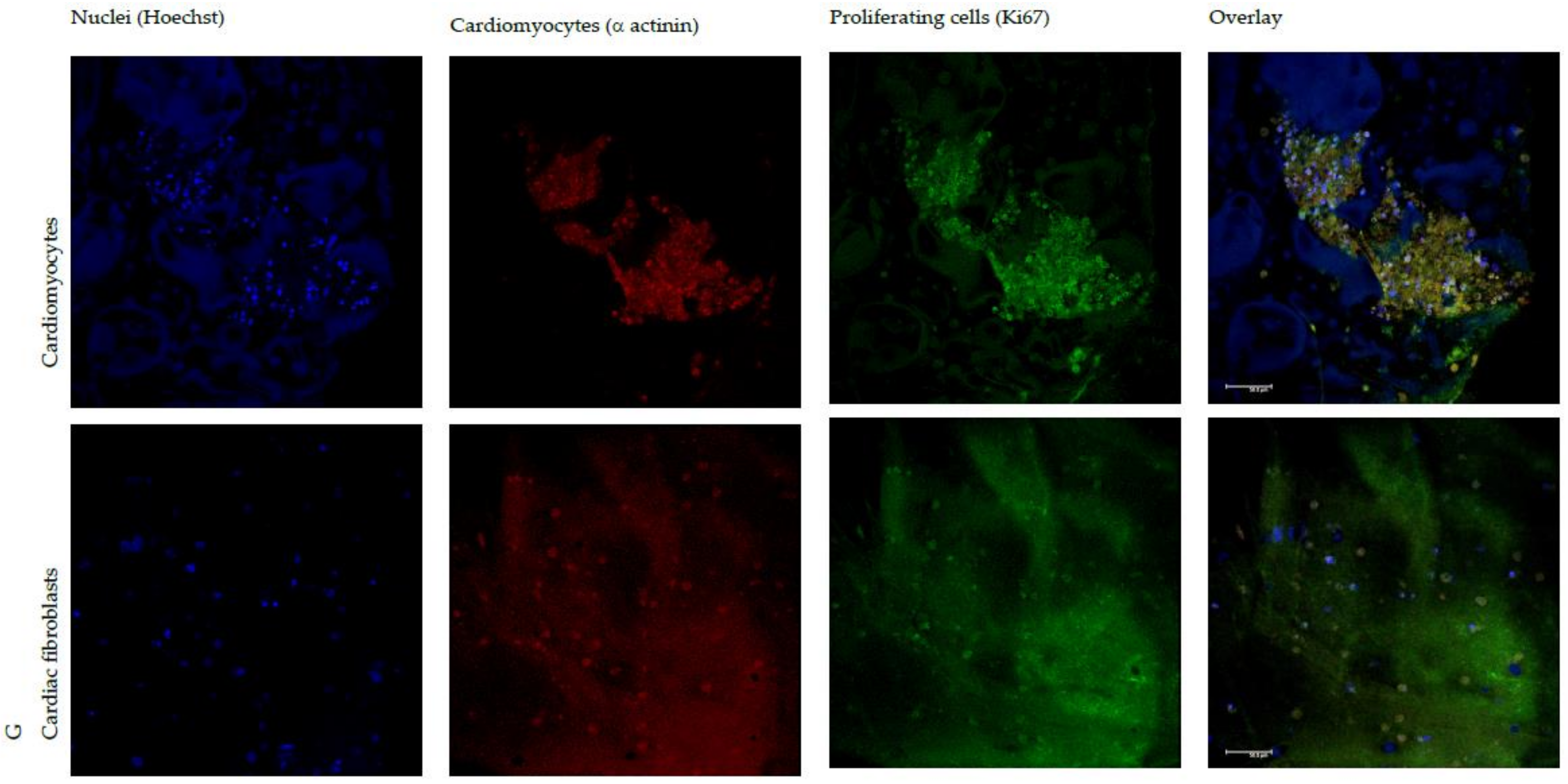 Polymers 10 00208 g007a