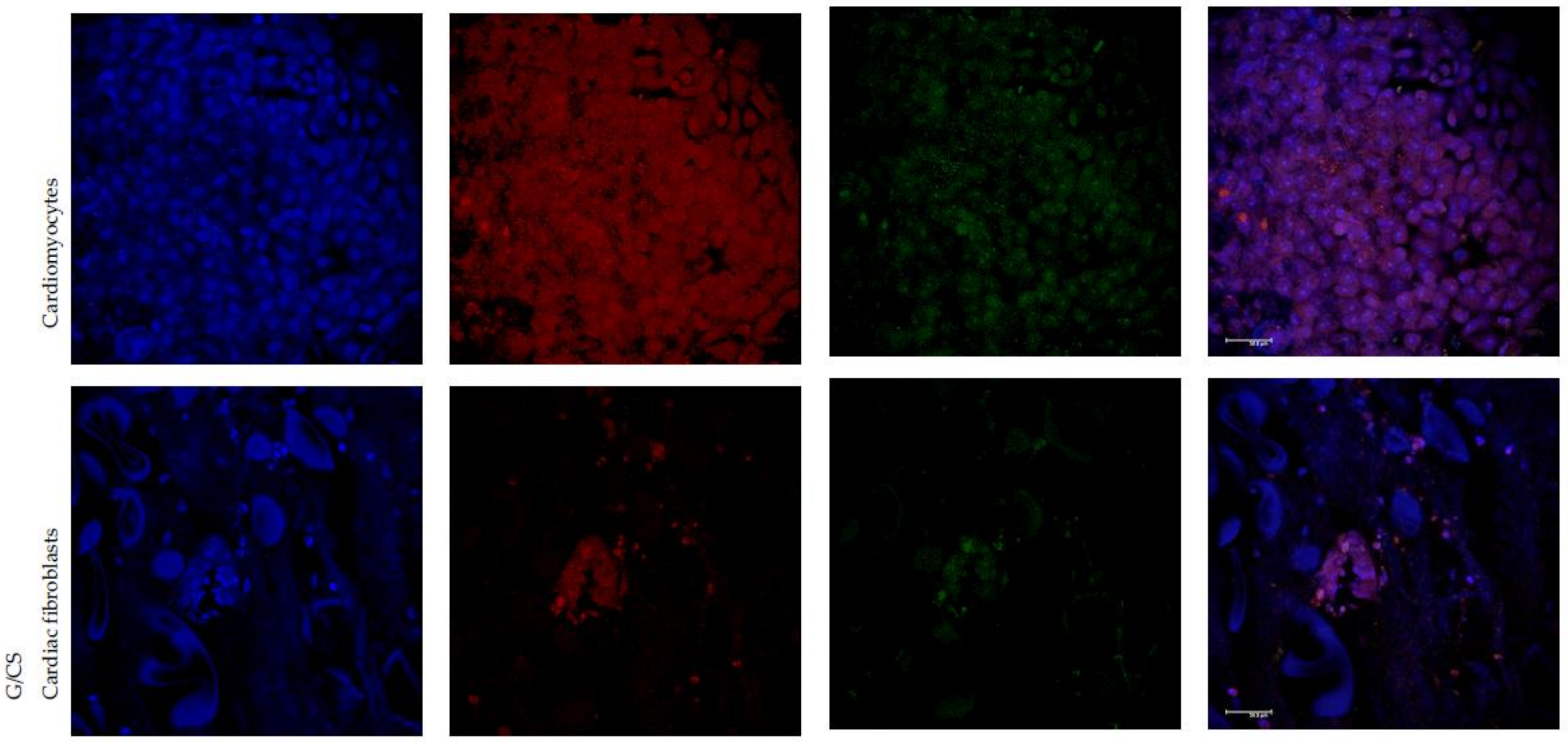 Polymers 10 00208 g007b