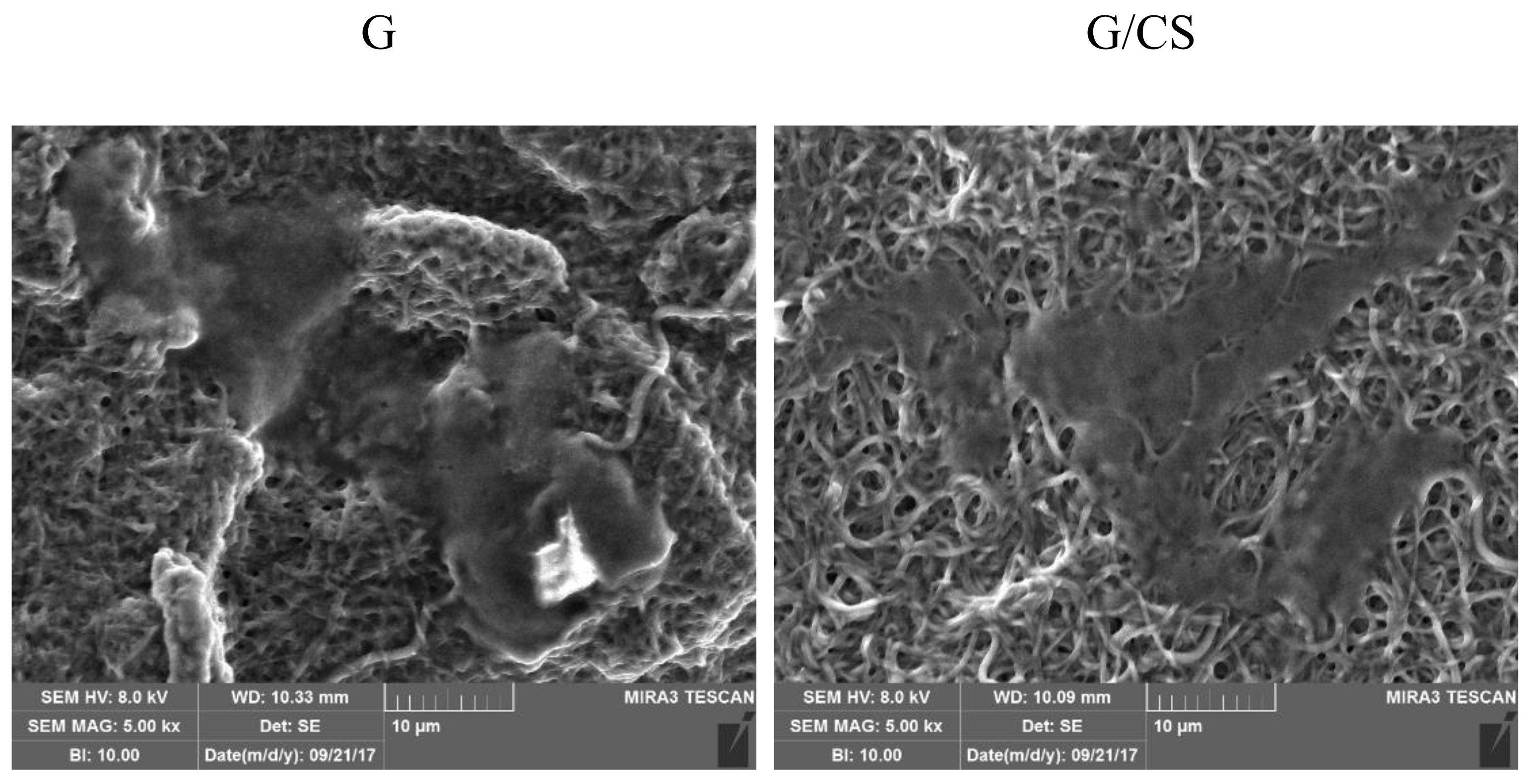 Polymers 10 00208 g008